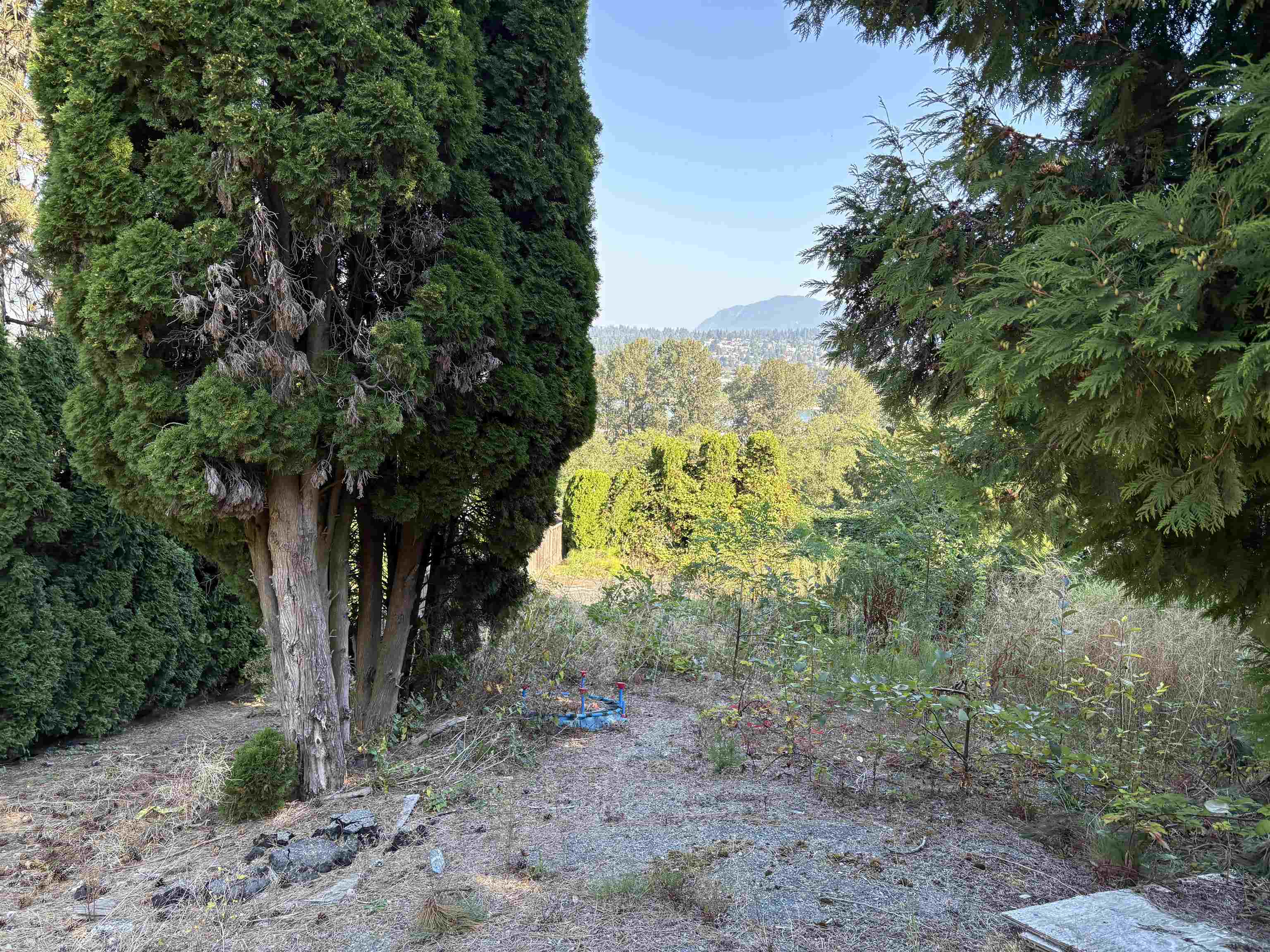 13993 116 AVENUE, Surrey BC V3R 2T3, R3047556, BC,