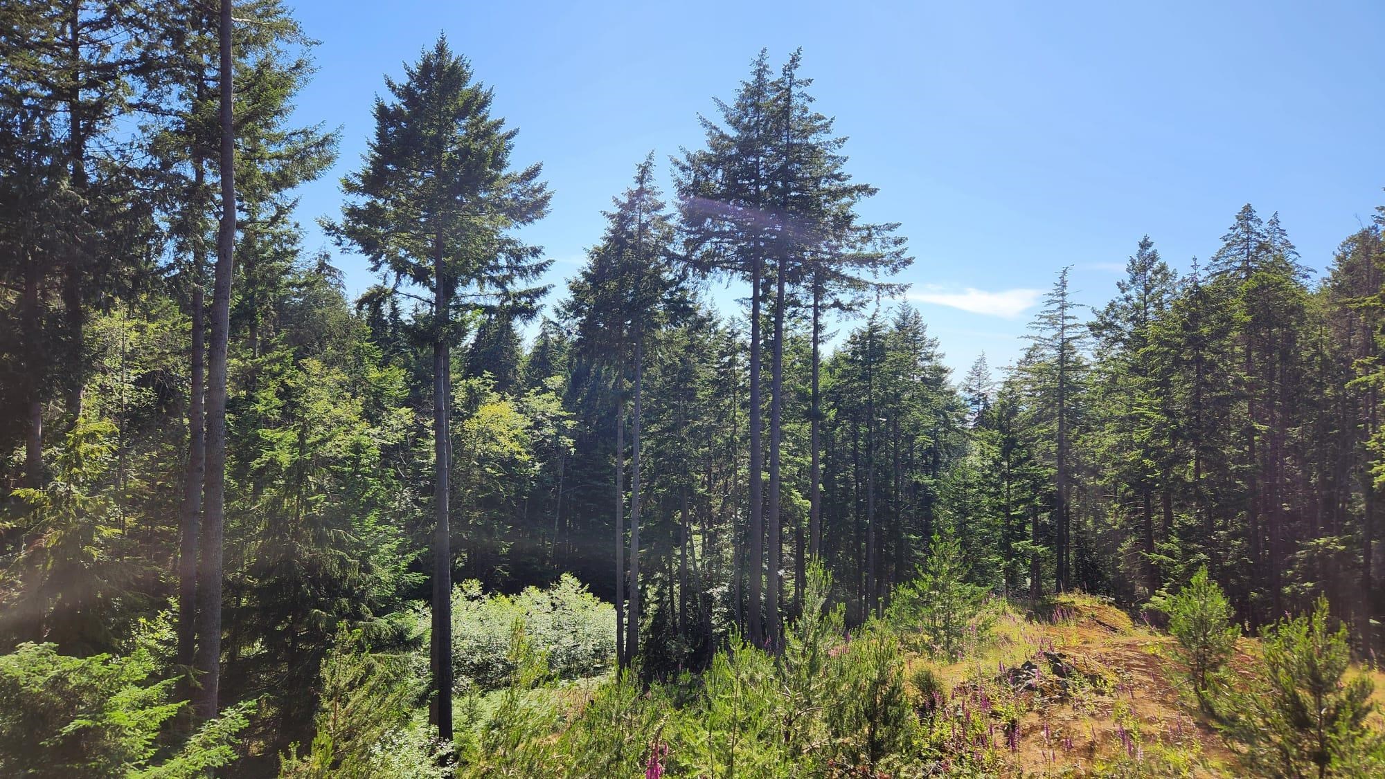 1765 CAPE DRIVE, Bowen Island BC V0N 1G2, R3053719, BC,