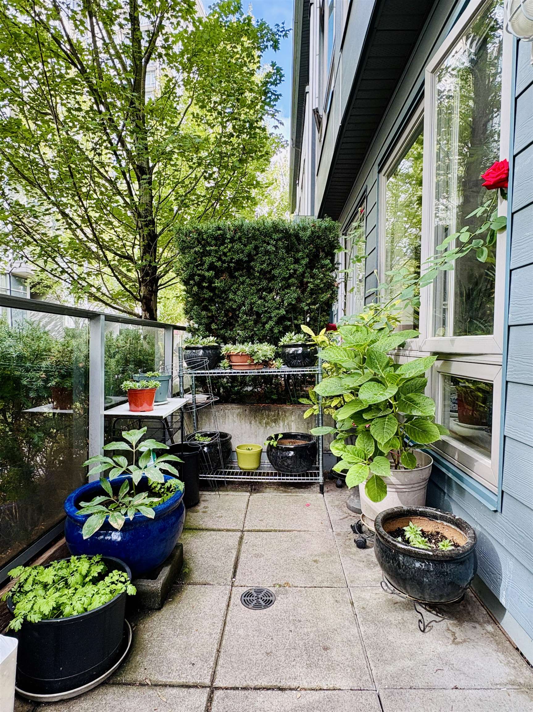 4886 ELDORADO MEWS, Vancouver BC V5R 0B1, R3054066, BC,