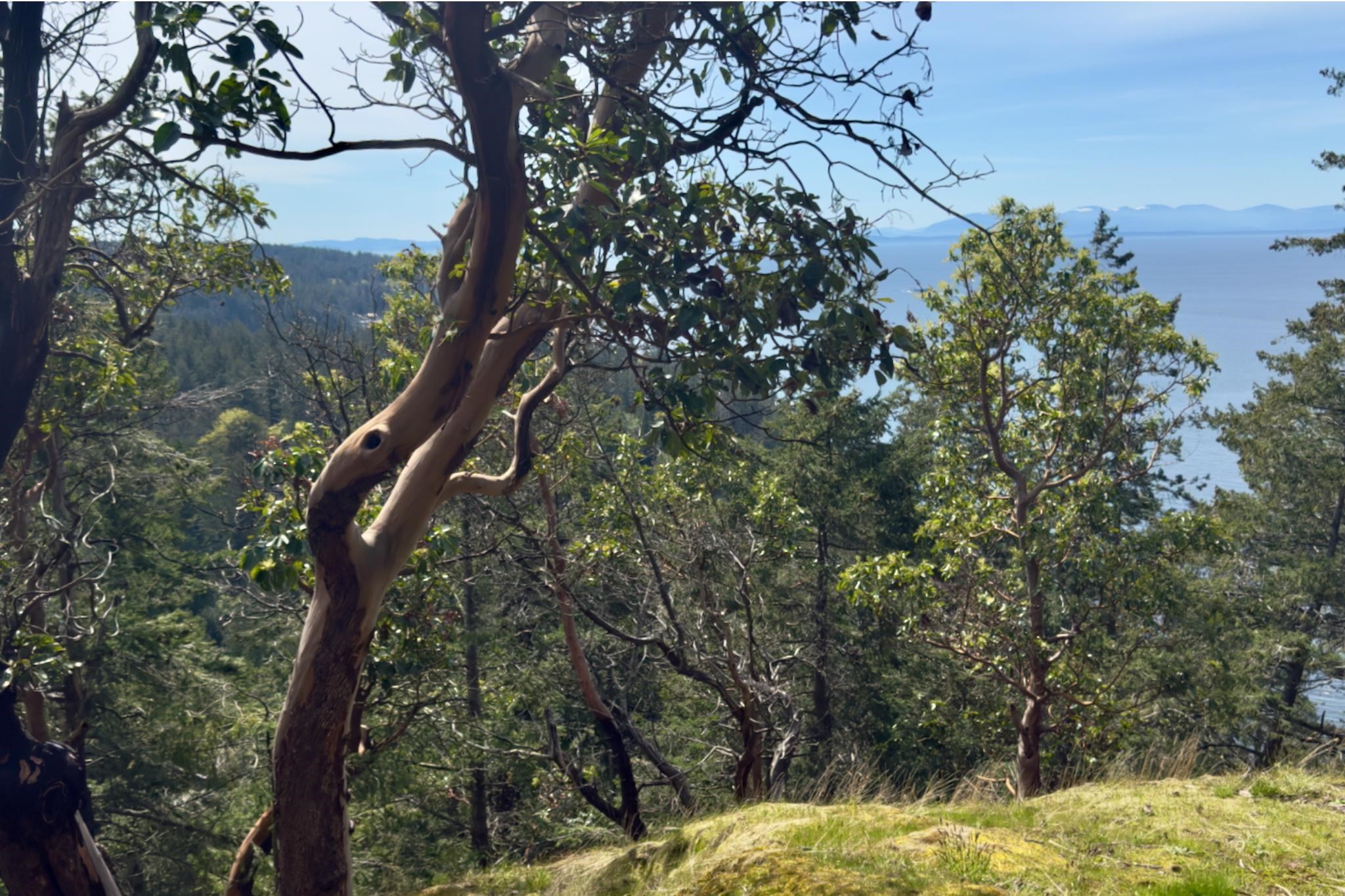 PH3 LOT3 ARBUTUS RIDGE, R3055543, BC,