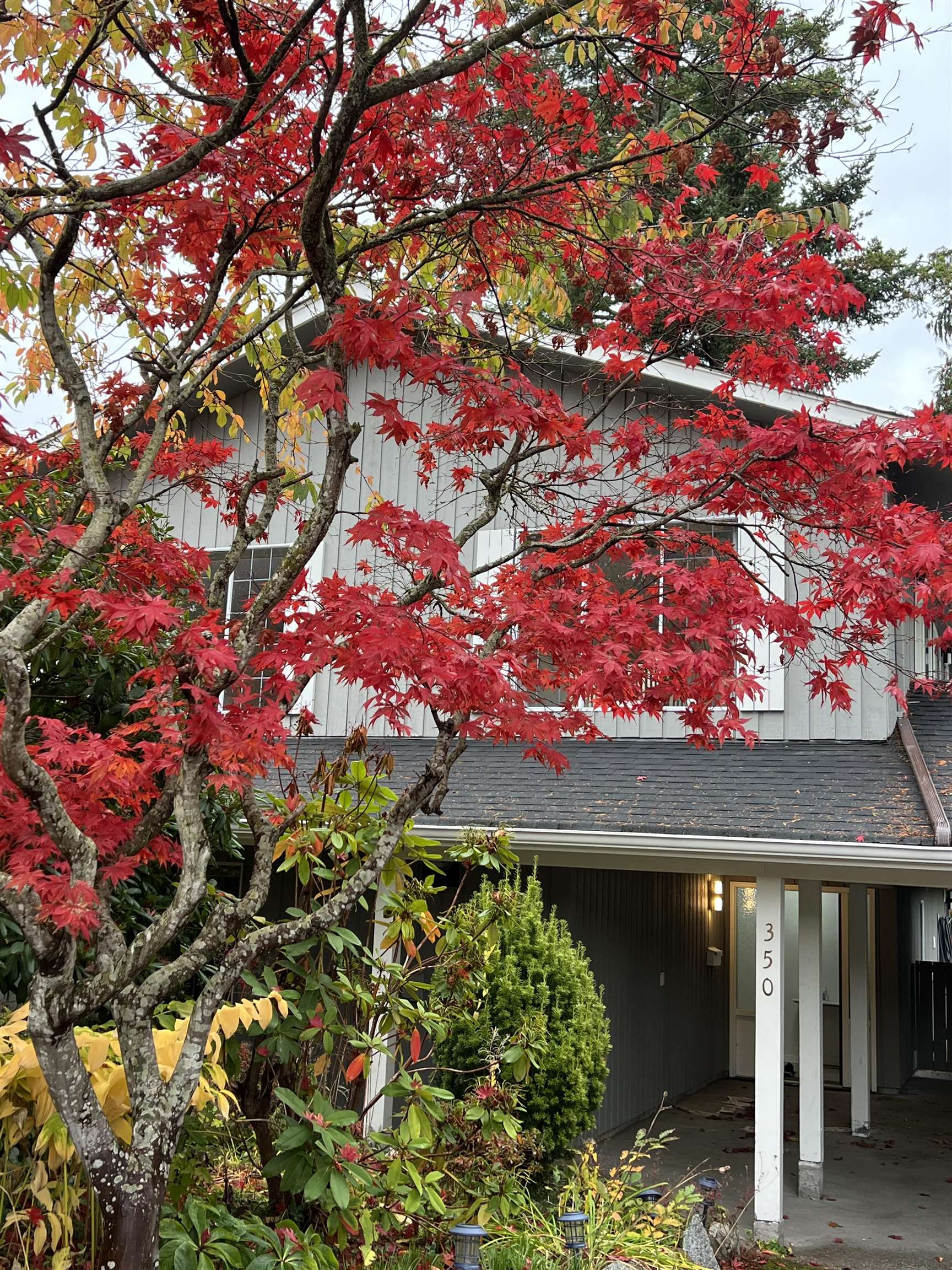 350 52A STREET, Delta BC V4M 2Z9, R3055941, BC,