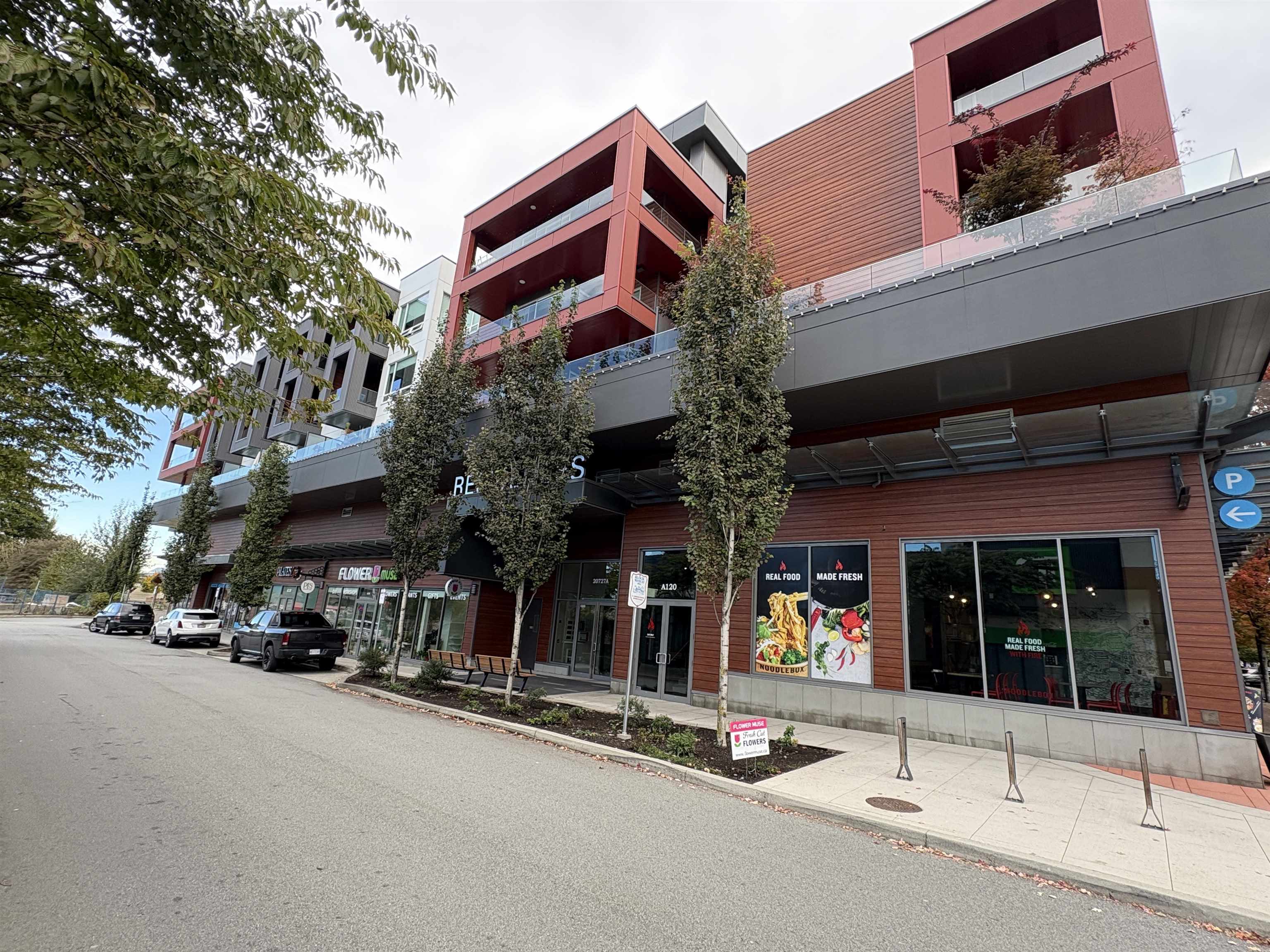 A417 20727 WILLOUGHBY TOWN CENTRE DRIVE, R3061410, BC,