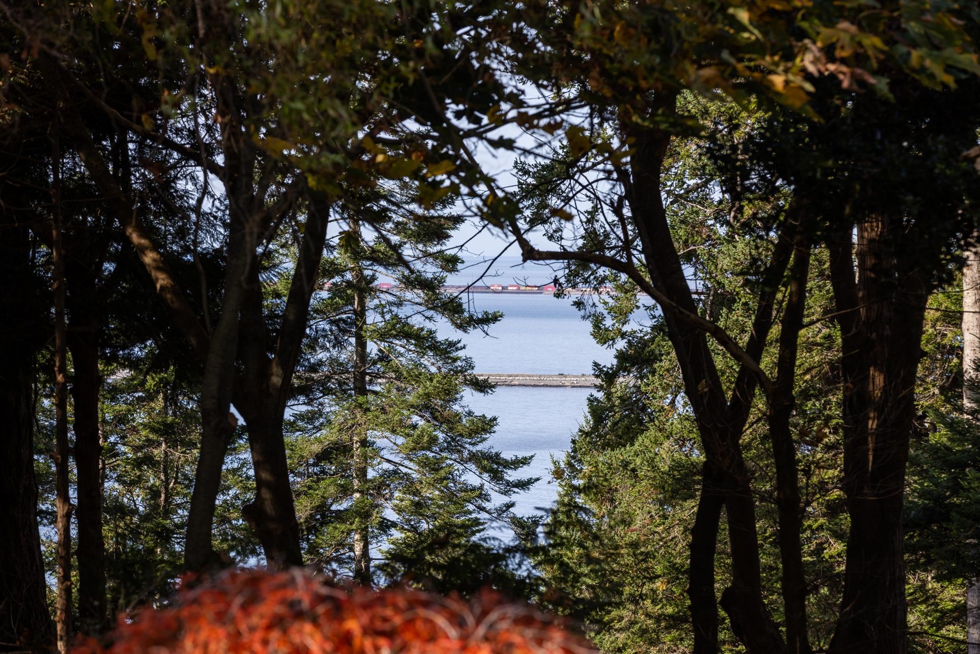 535 ENGLISH BLUFF ROAD, Delta BC V4M 2M9, R3065524, BC,