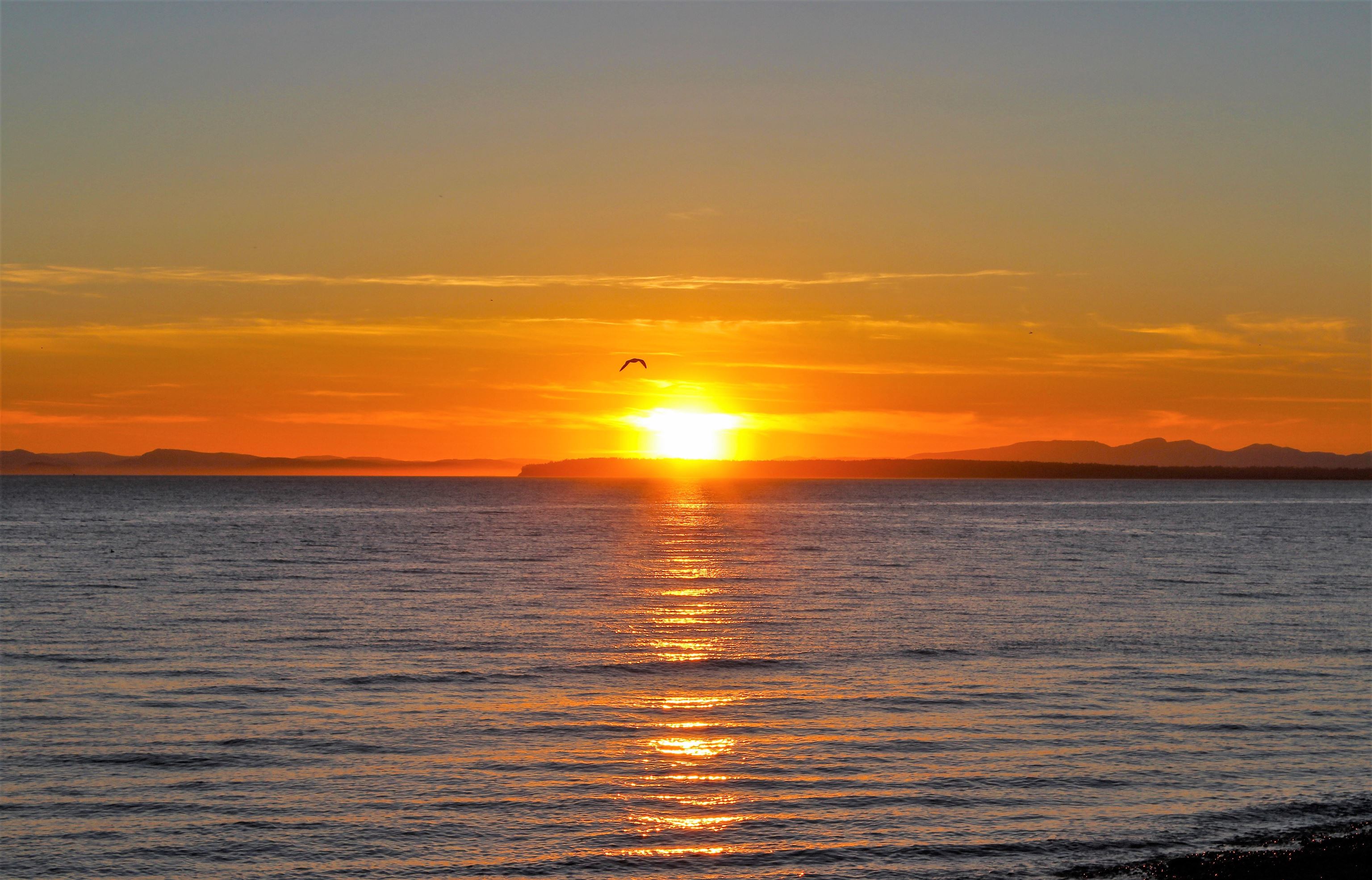 12631 15 AVENUE, Surrey BC V4A 1K1, R3066459, BC,