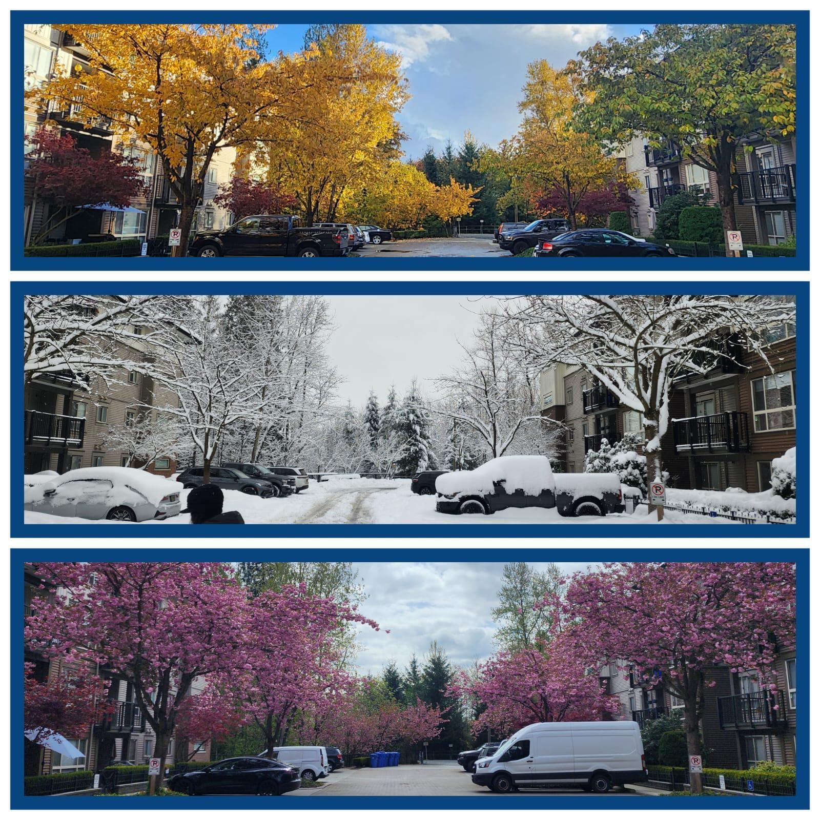 101 11665 HANEY BYPASS, R3068032, BC,