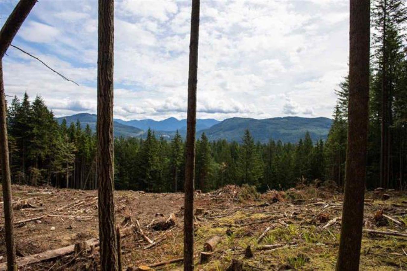 11533 WILSON STREET, Mission BC V4S 1M1, R3069287, BC,