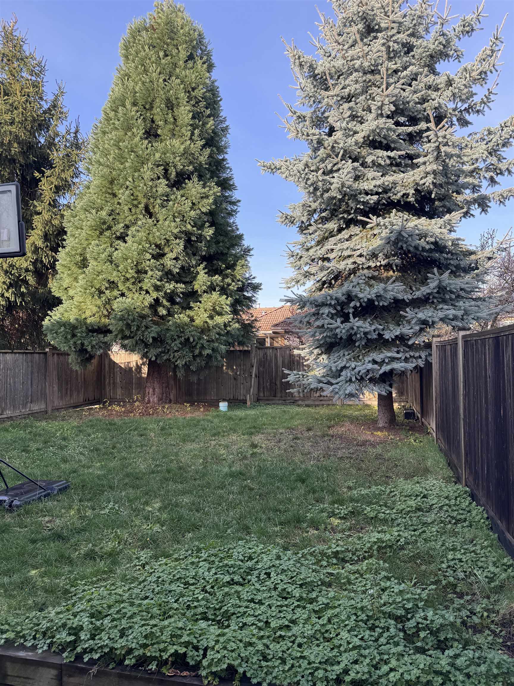 Basement-7305 11TH AVENUE, Burnaby BC V3N 2M9, R3071888, BC,