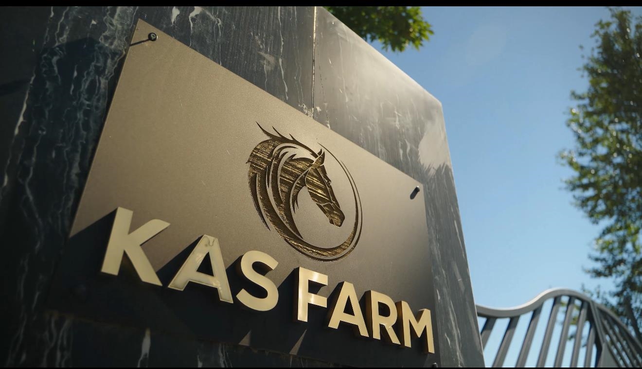 5986 232 STREET, Langley BC V0V 0V0, R3075413, BC,