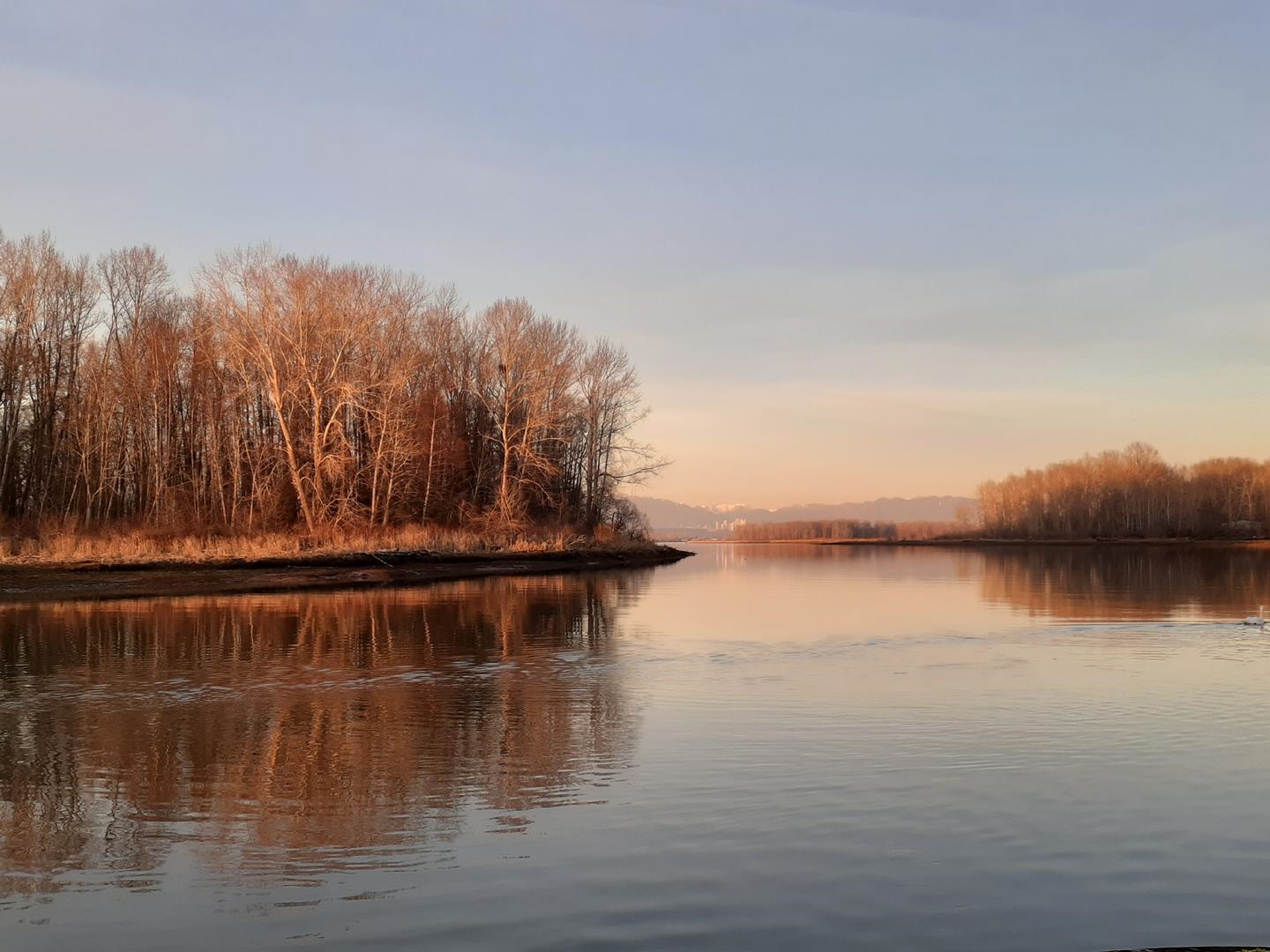 2 4485 RIVER ROAD, R3076124, BC,