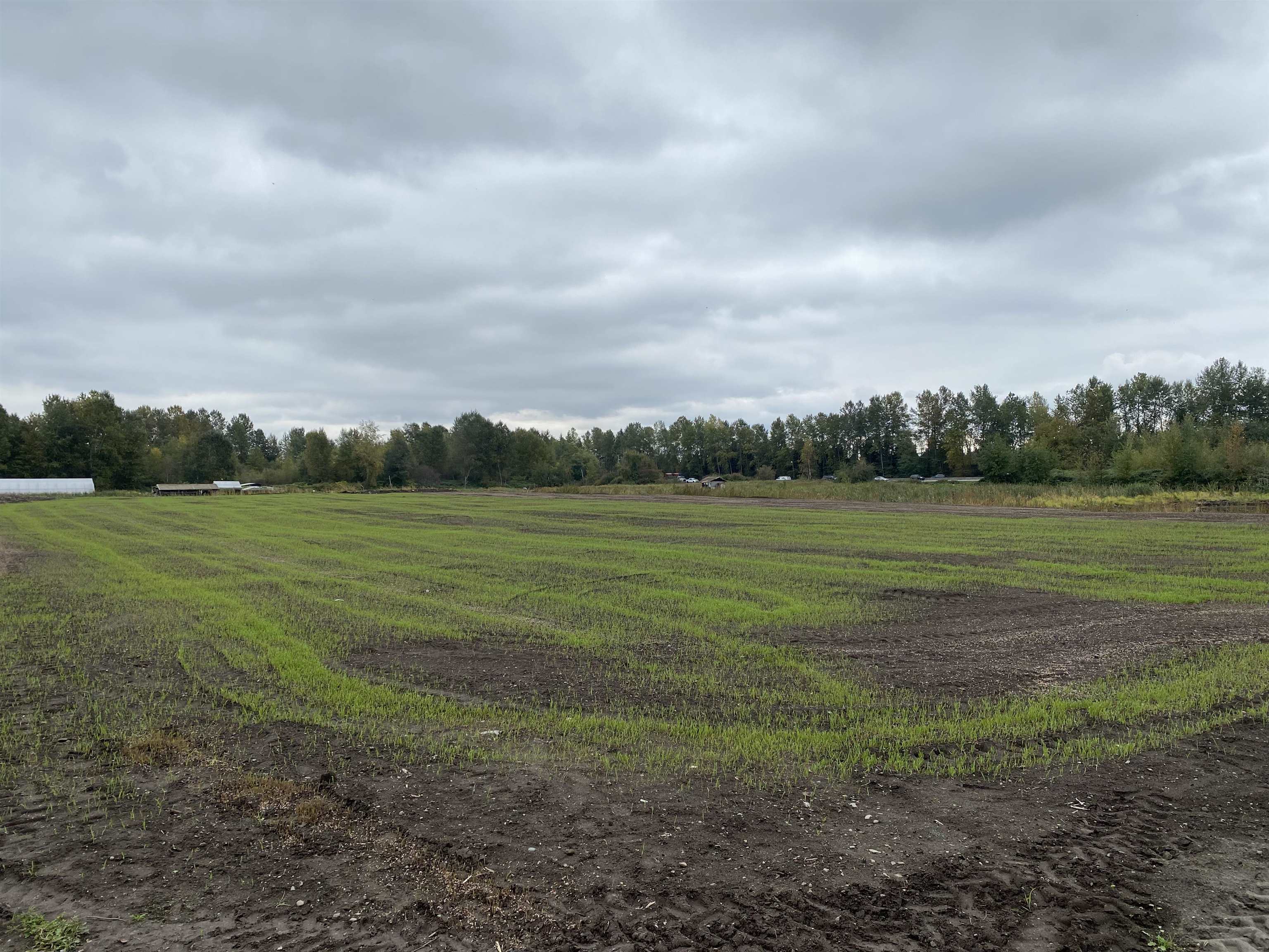 8646 MANDEVILLE AVENUE, Burnaby BC V5J 3G6, R3084445, BC,