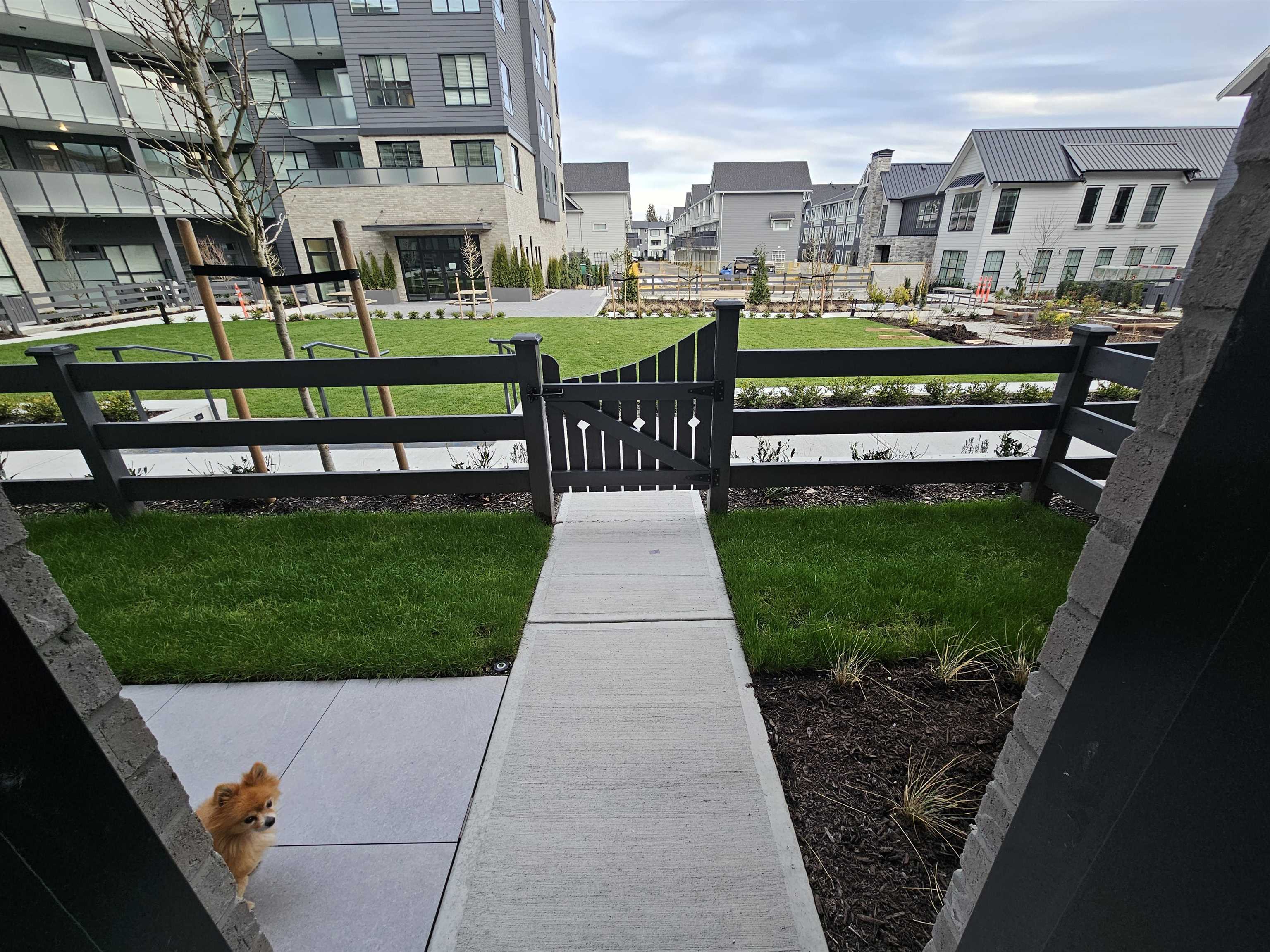 MLS® listing #R3093813 for sale located at 1FL 15738 85 AVENUE