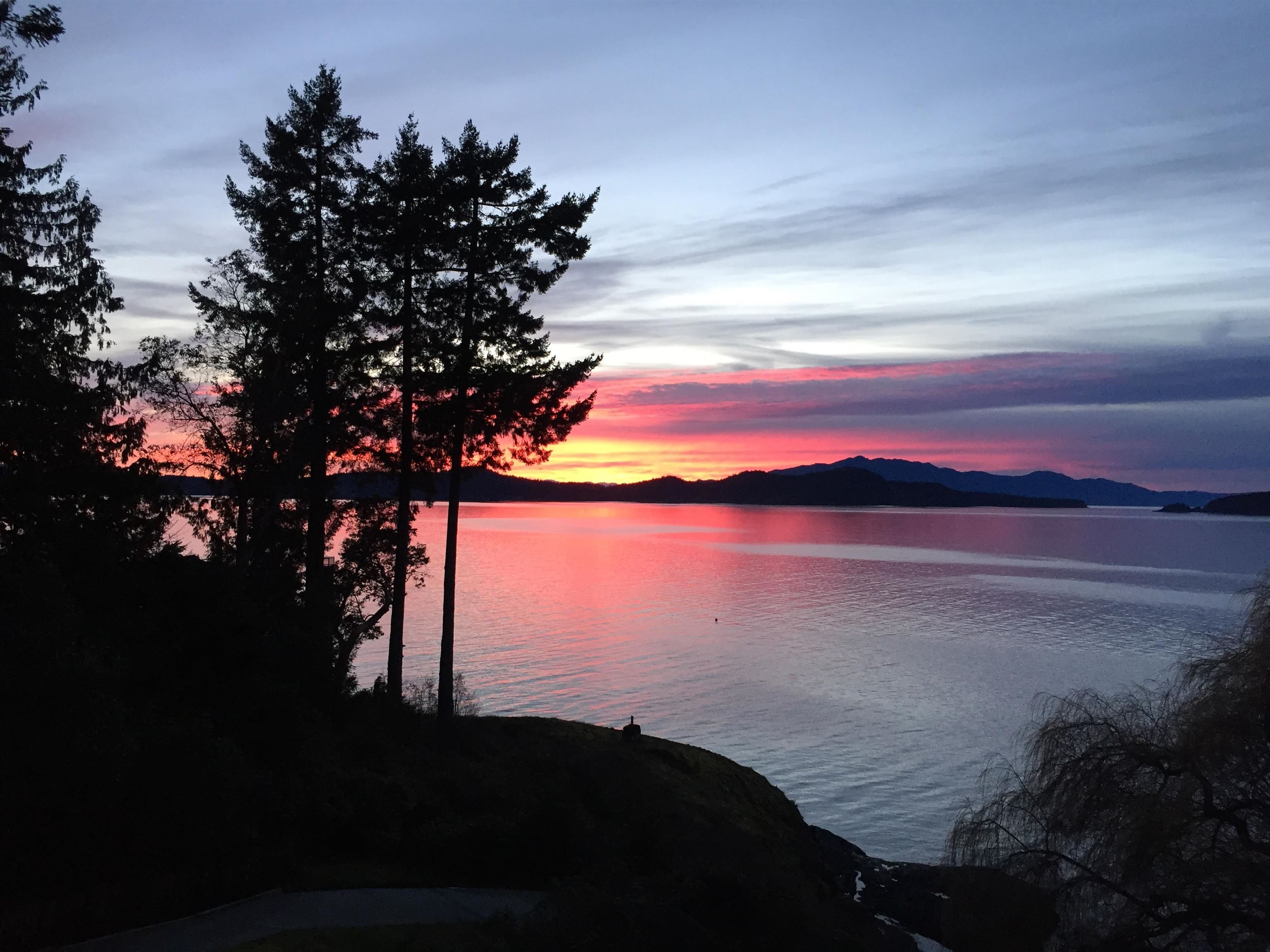 8429 REDROOFFS ROAD, Halfmoon Bay BC V7Z 1E6, R3098687, BC,