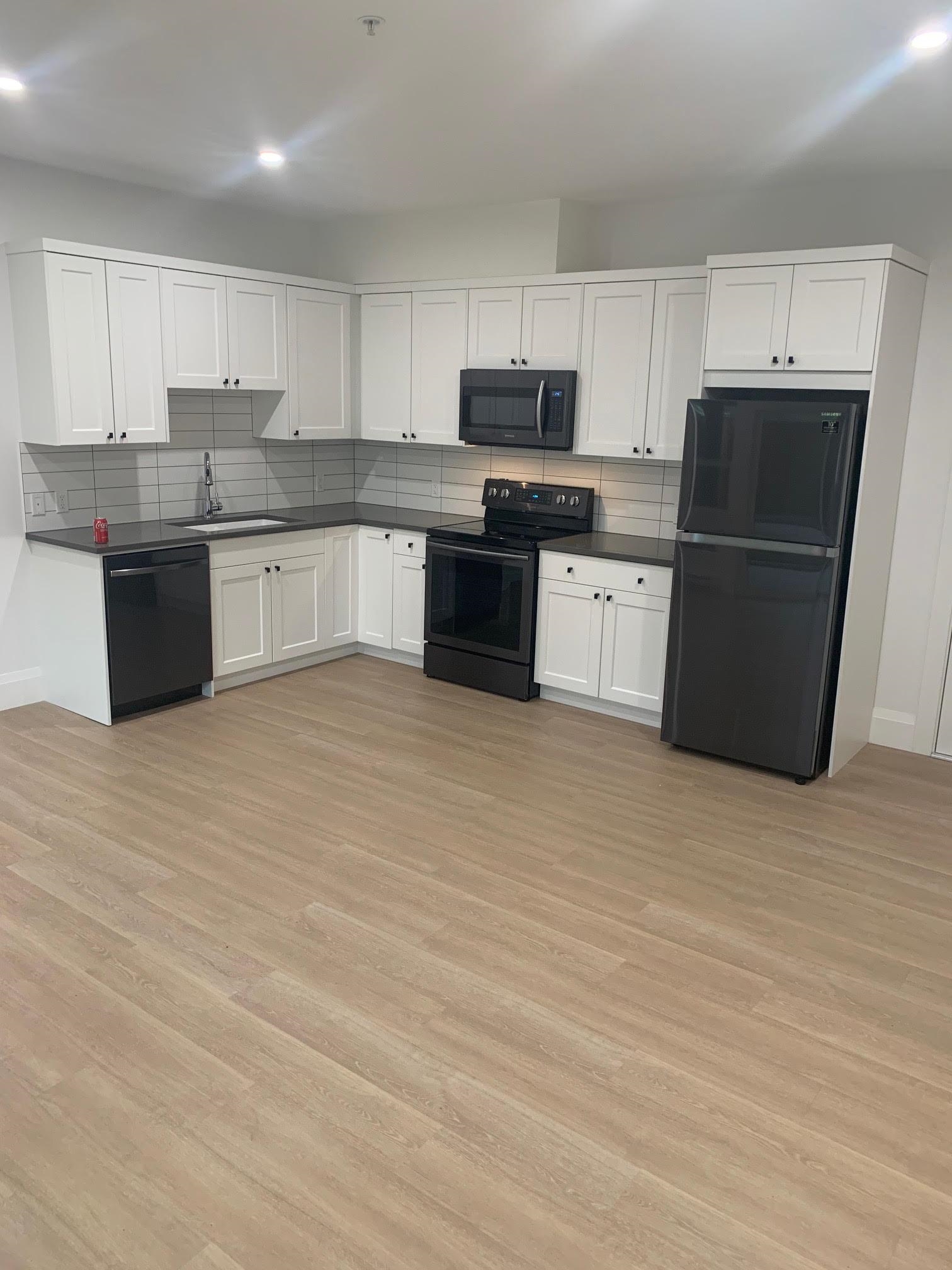 Lower 20665 113 AVENUE, R3100344, BC,