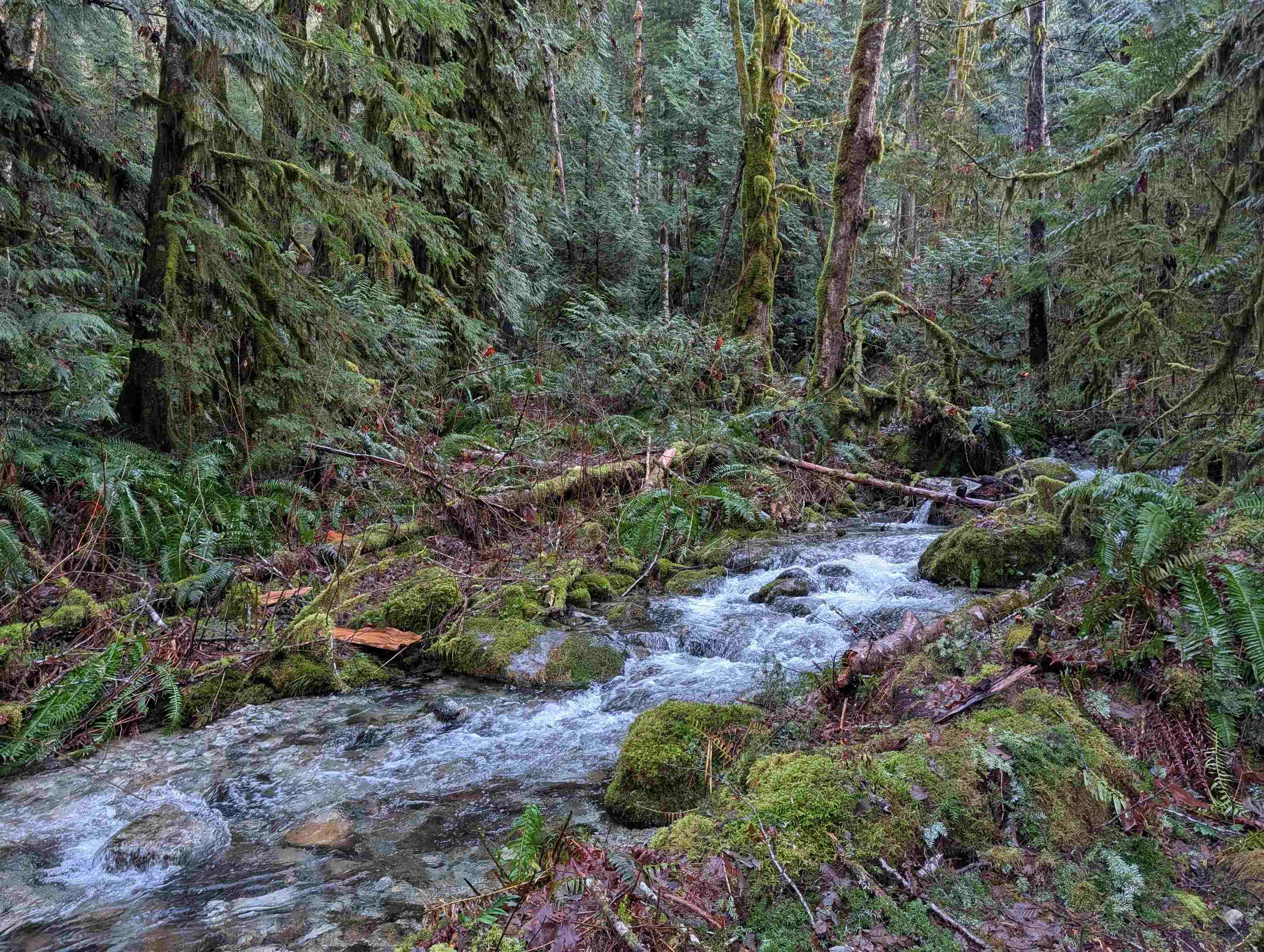 2045 N RUSTAD ROAD, Squamish BC V0N 3G0, R3101231, BC,