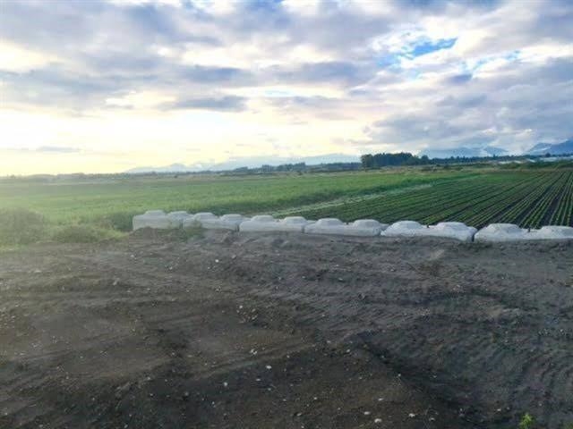 4179 176 STREET, Surrey BC V3S 0L5, R3101499, BC,