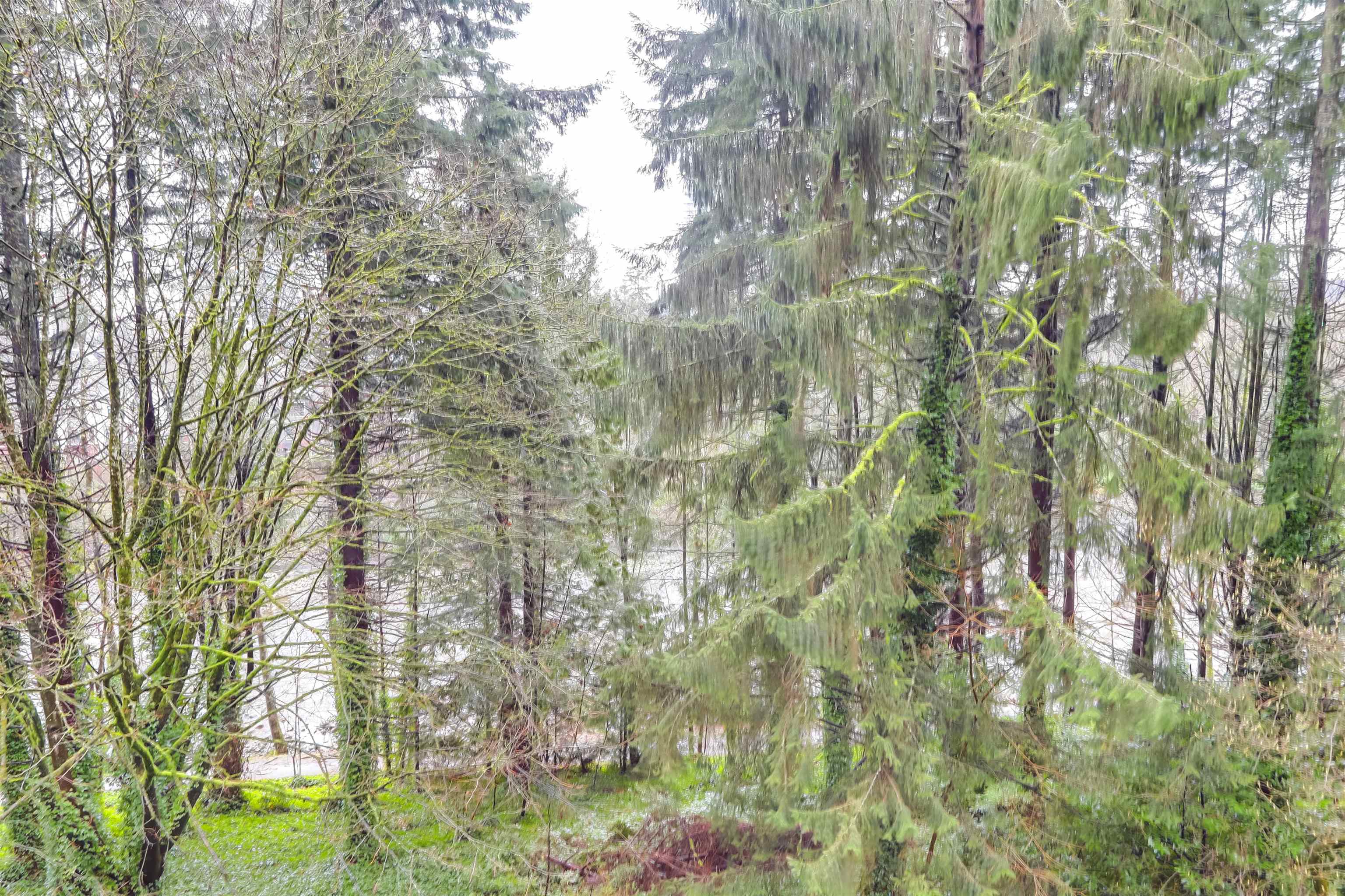 402 2024 FULLERTON AVENUE, R3101746, BC,