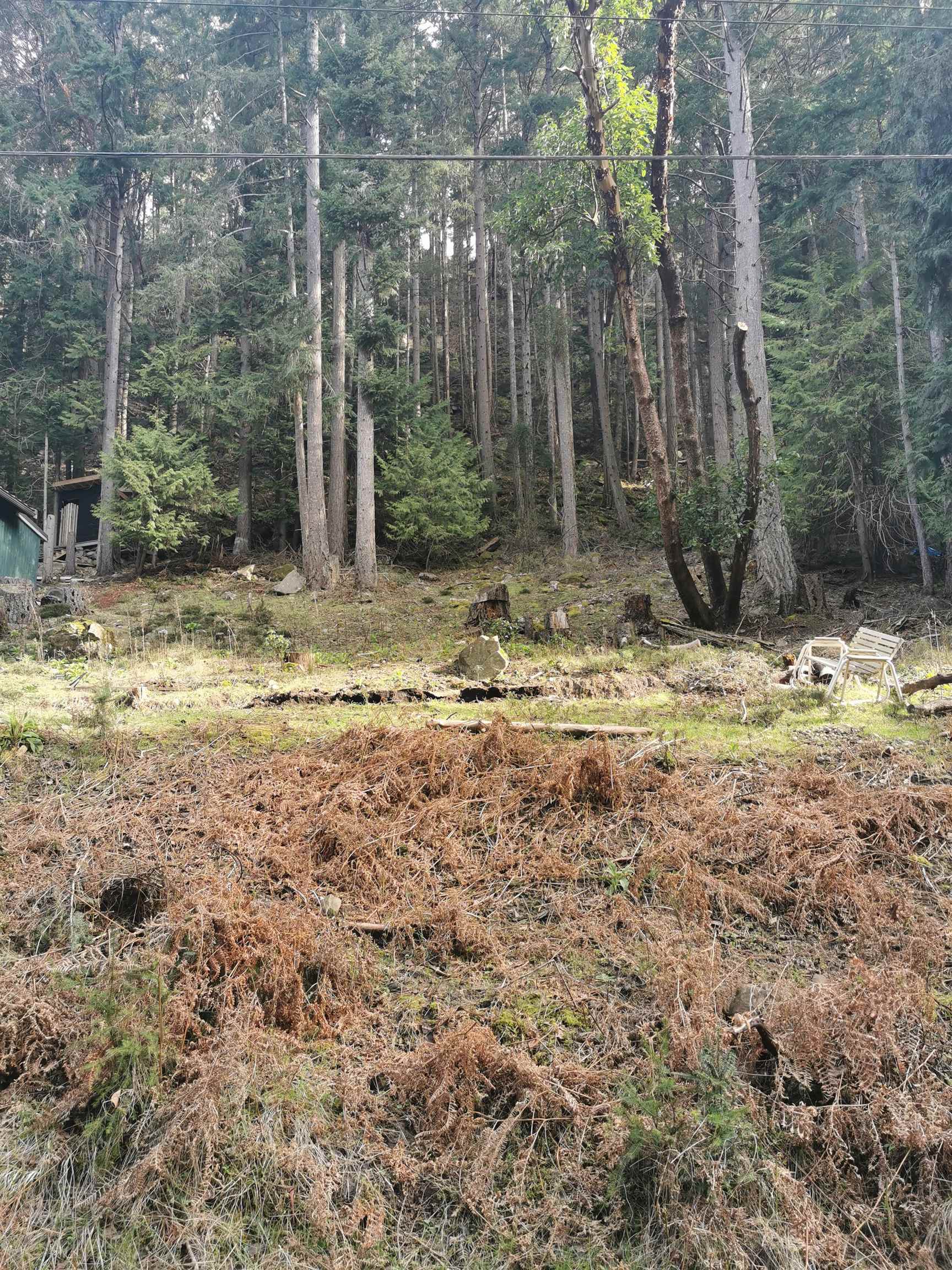 LOT 25 WOOD DALE DRIVE, Mayne Island BC V0N 2J2, R3102967, BC,