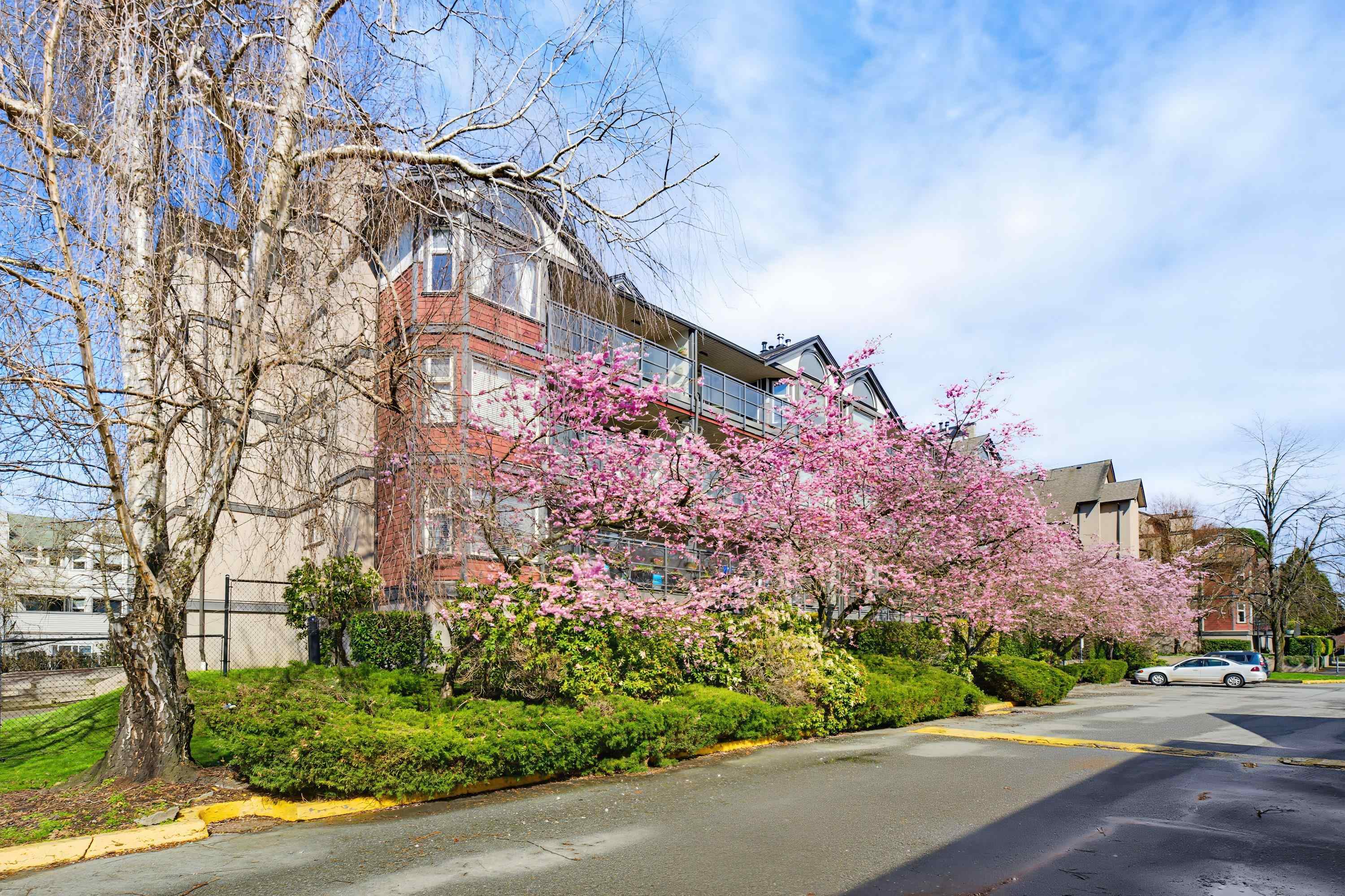 D205 4845 53 STREET, R3104881, BC,