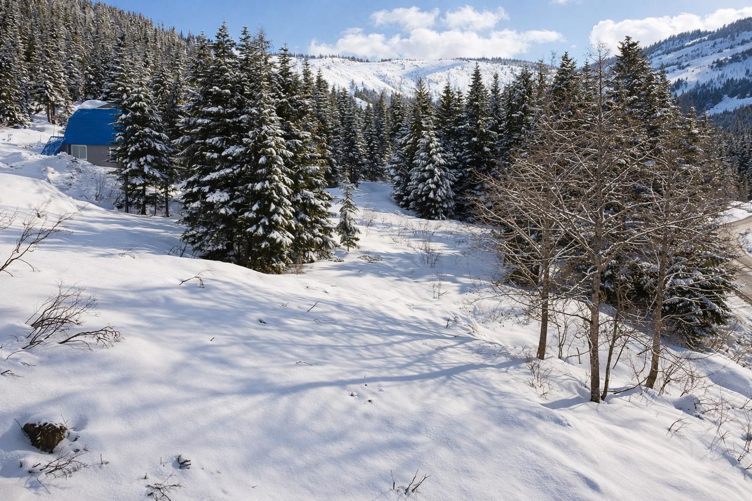 20418 EDELWEISS DRIVE, Agassiz BC V0M 1A1, R3105161, BC,