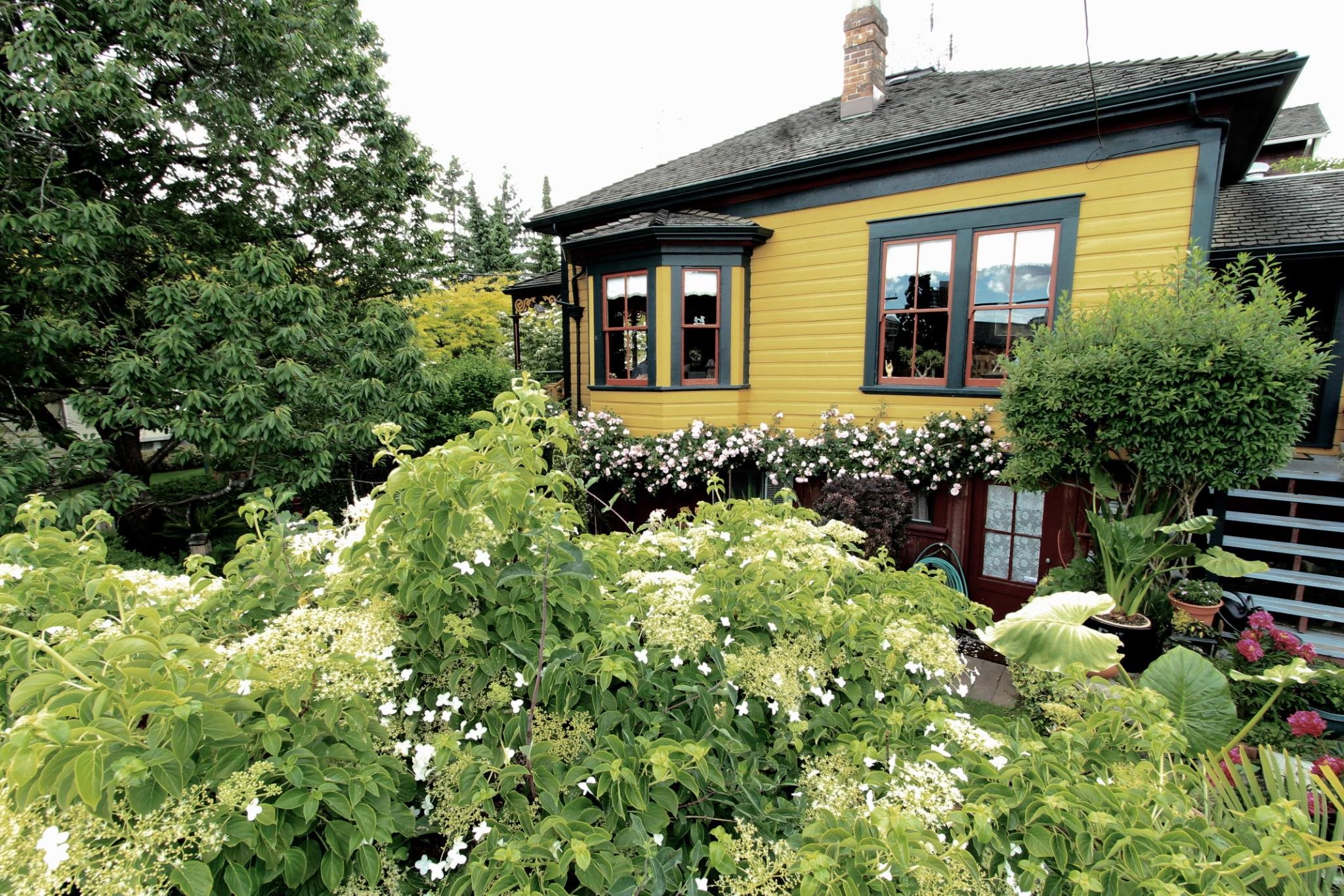 217 NINTH STREET, New Westminster BC V3M 3V4, R3105475, BC,