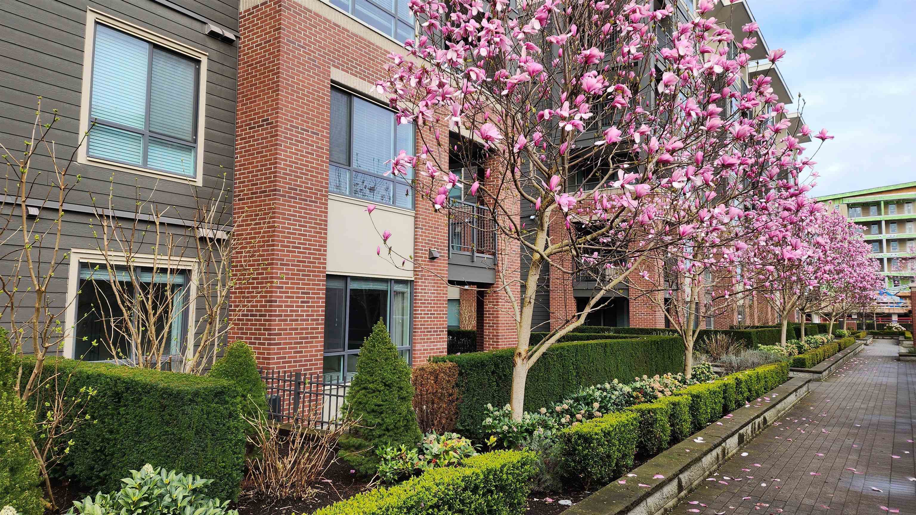 102 33540 MAYFAIR AVENUE, R3106846, BC,