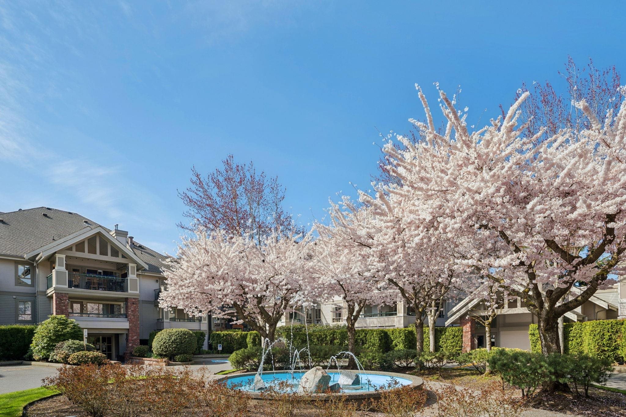 220 22025 48 AVENUE, R3107426, BC,