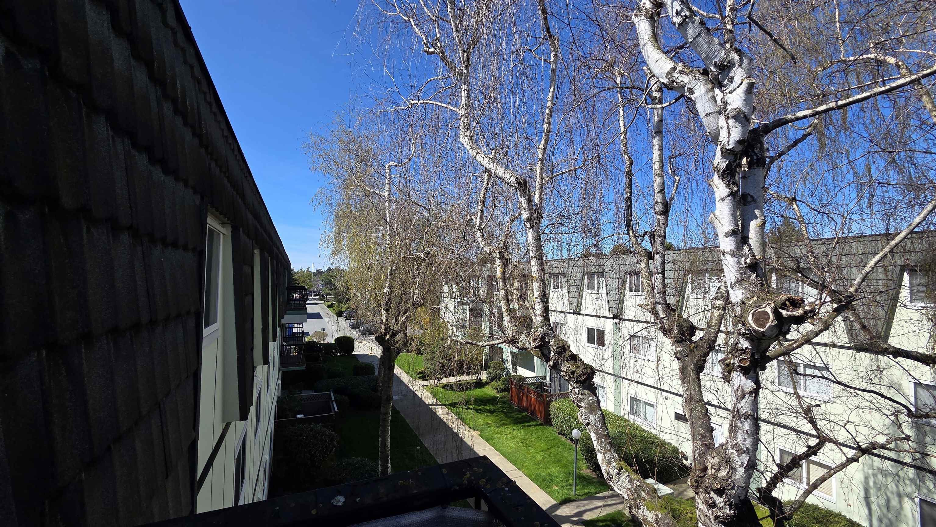 356 8131 RYAN ROAD, R3109238, BC,