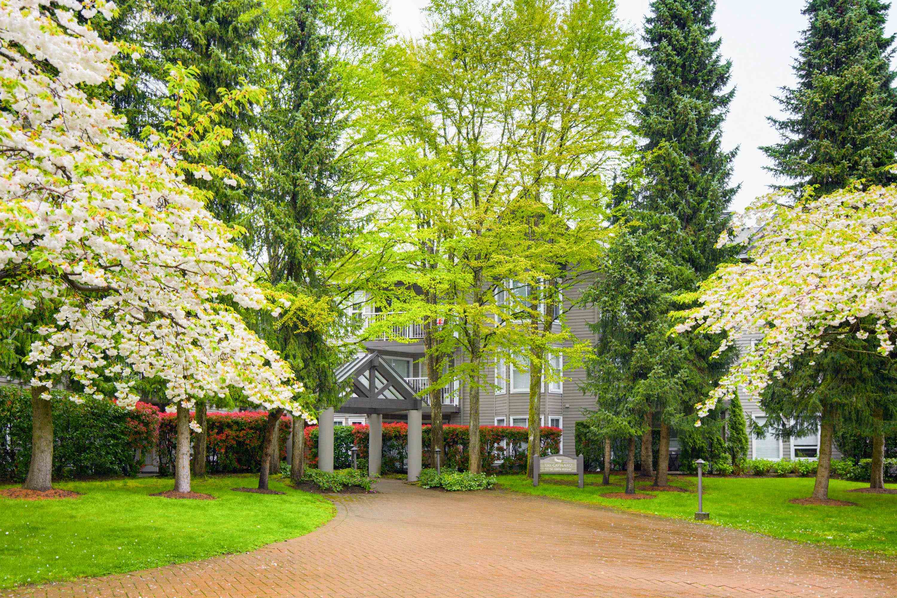 206 15150 108 AVENUE, R3111473, BC,