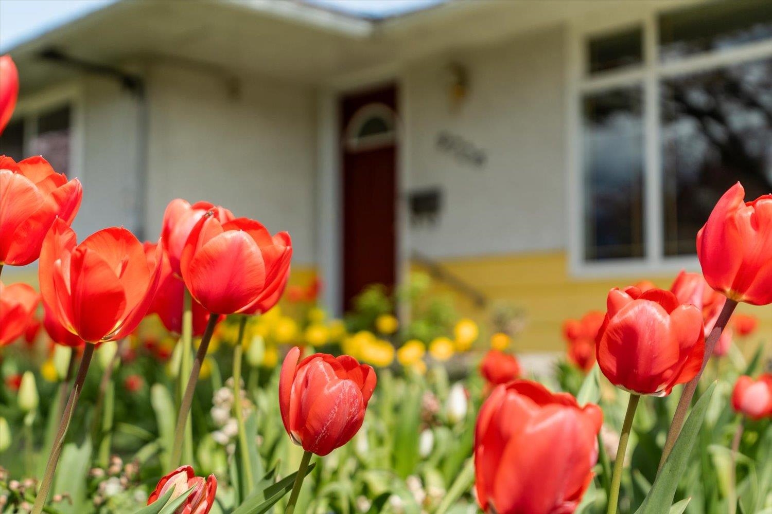 9726 JUNIPER STREET, Chilliwack BC V2P 5J1, R3113184, BC,