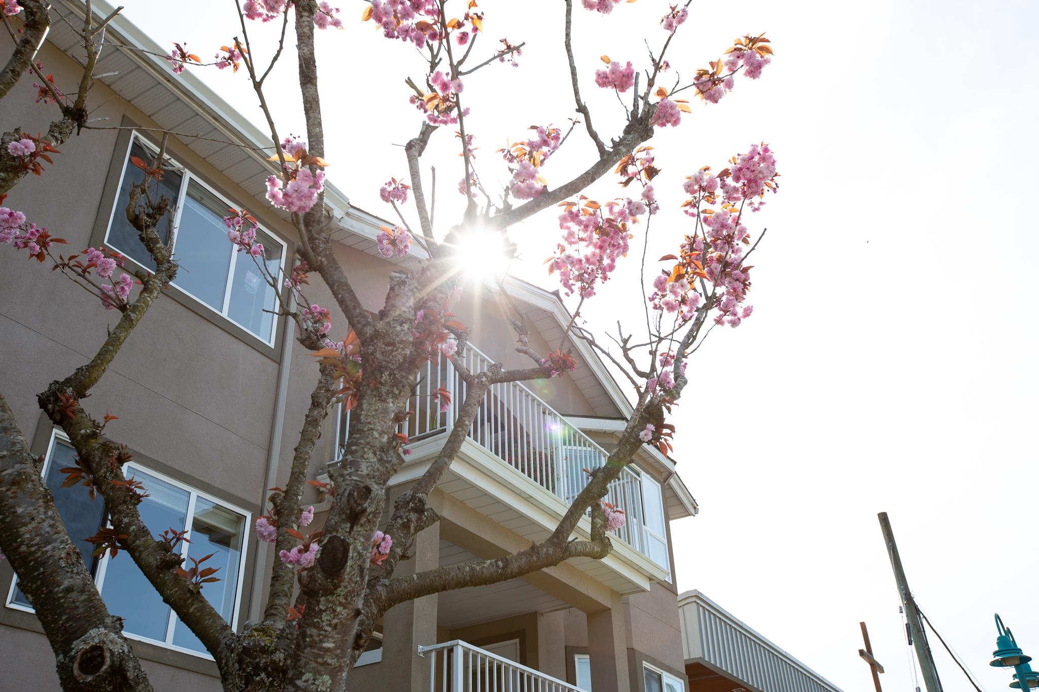 307 5711 MERMAID STREET, R3113686, BC,