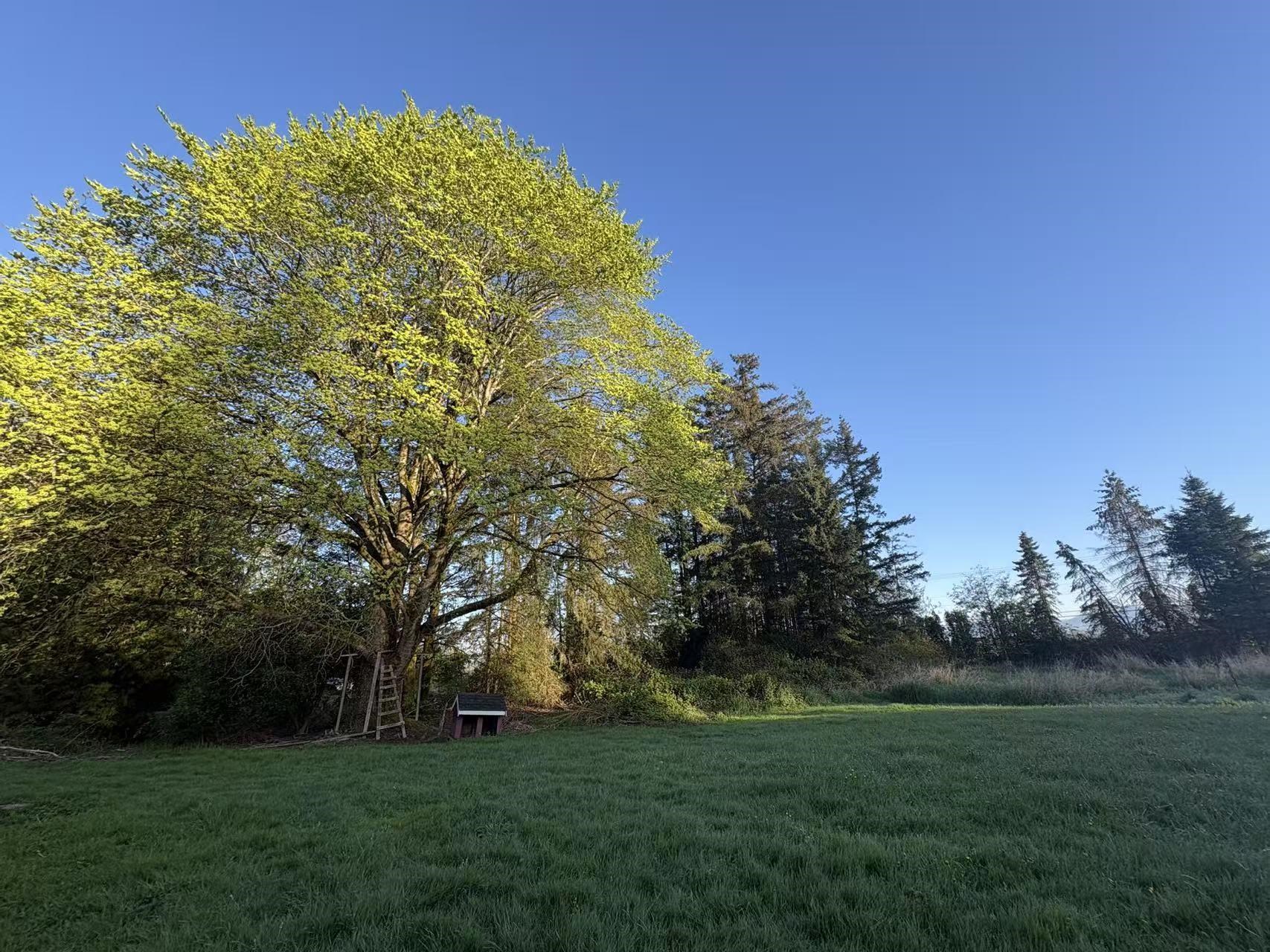 18106 32 AVENUE, Surrey BC V3Z 1C6, R3117502, BC,