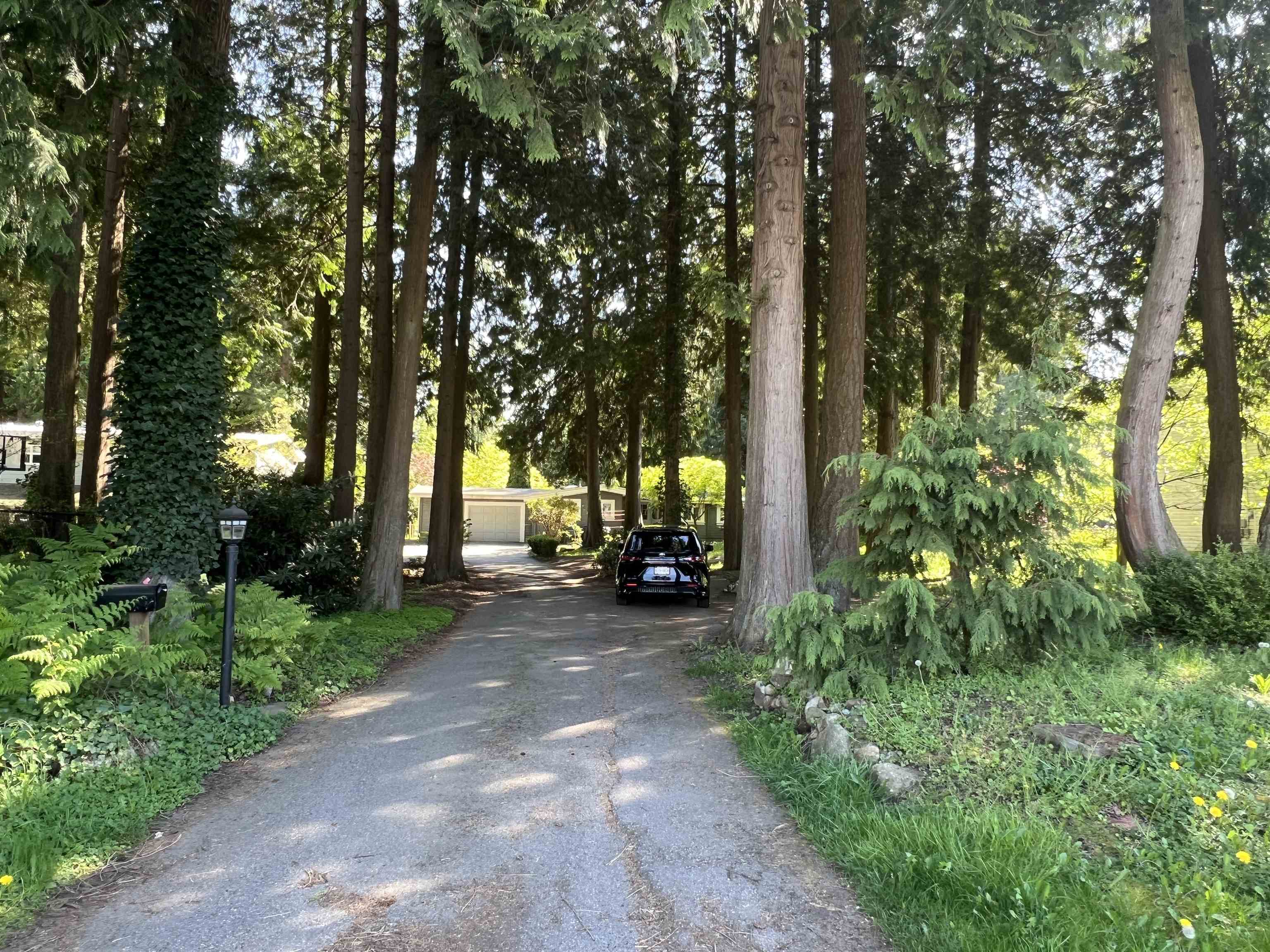12564 24 AVENUE, Surrey BC V4A 2E4, R3119474, BC,