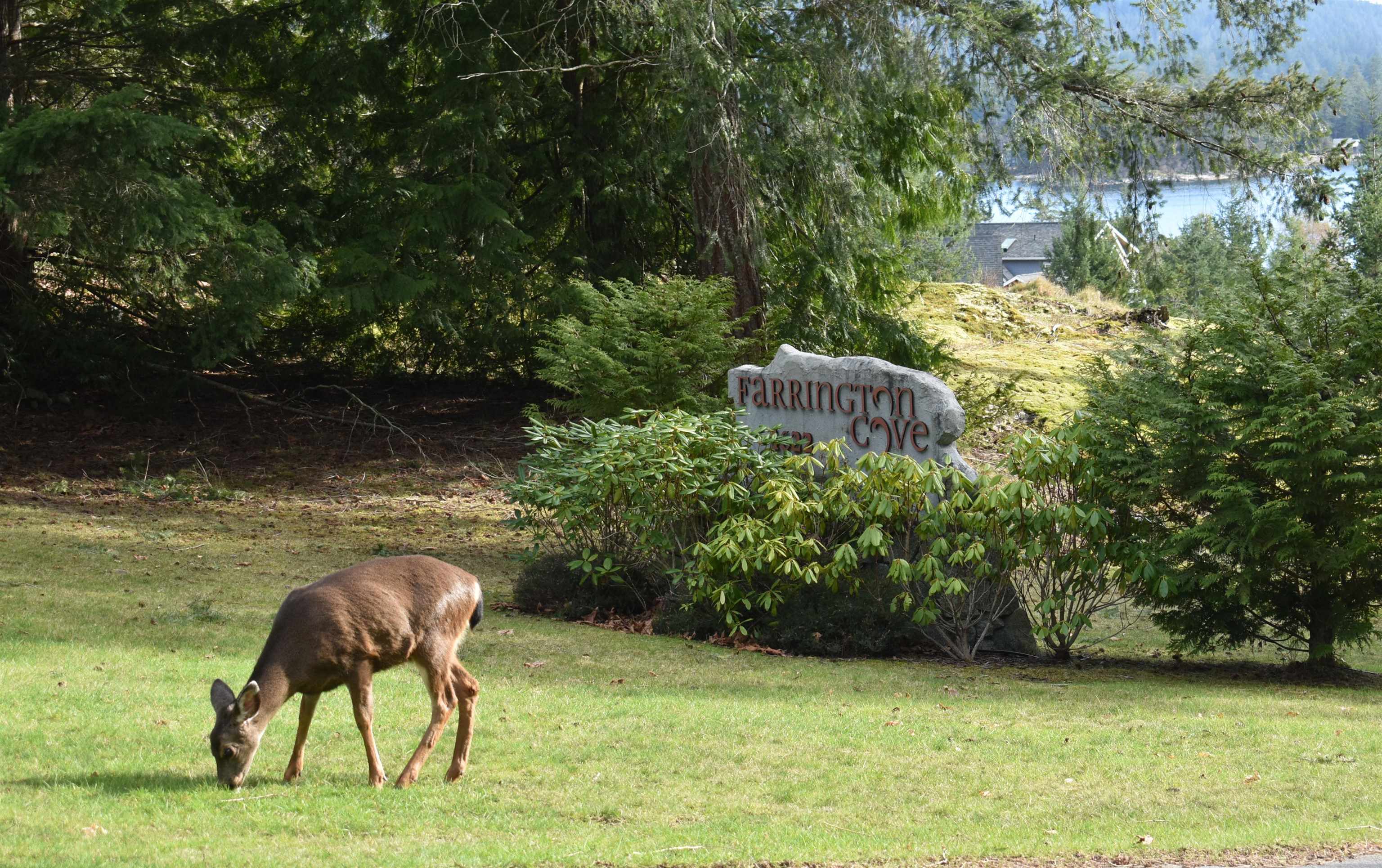 7 4622 SINCLAIR BAY ROAD, R3121252, BC,