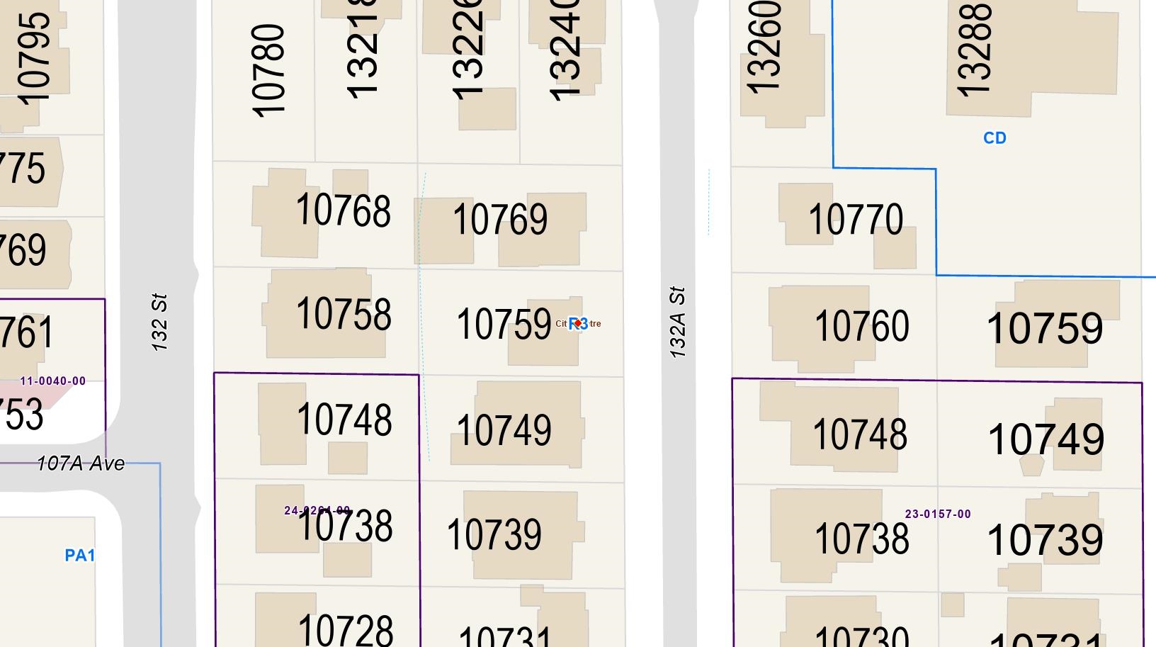10769 132 A STREET, Surrey BC V3T 3Y1, R3121393, BC,