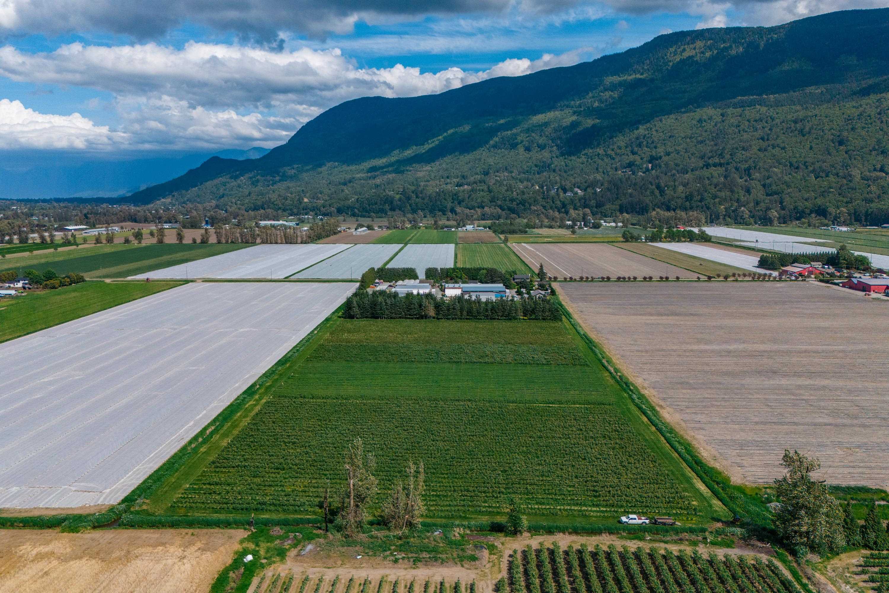 3387 TOLMIE ROAD, Abbotsford BC V3G 2T9, R3123957, BC,