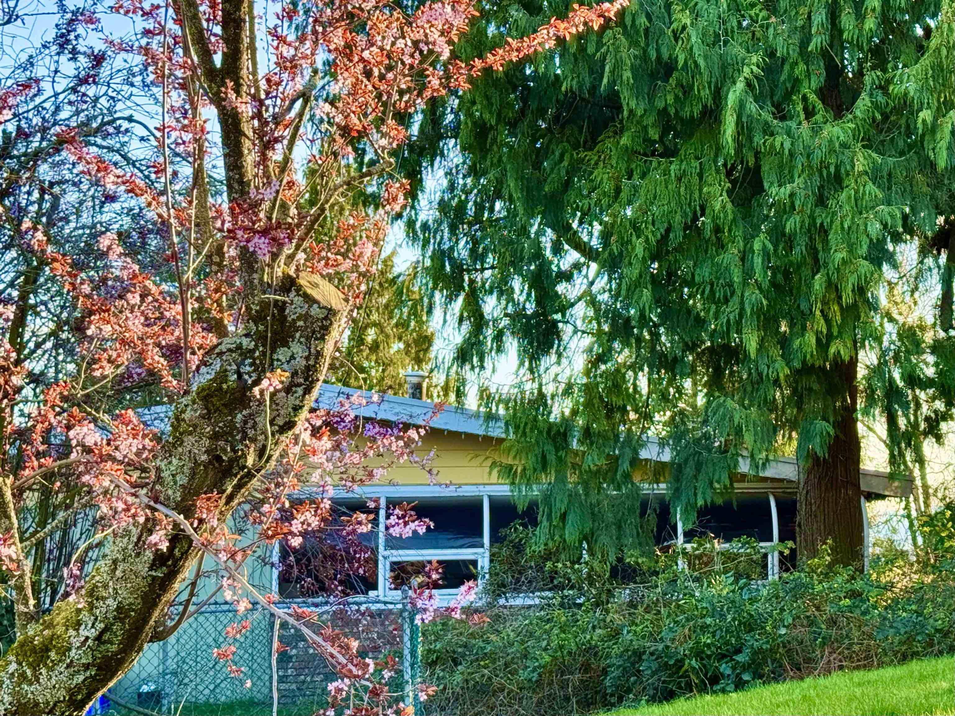 990 BALSAM STREET, White Rock BC V4B 4J1, R3127513, BC,