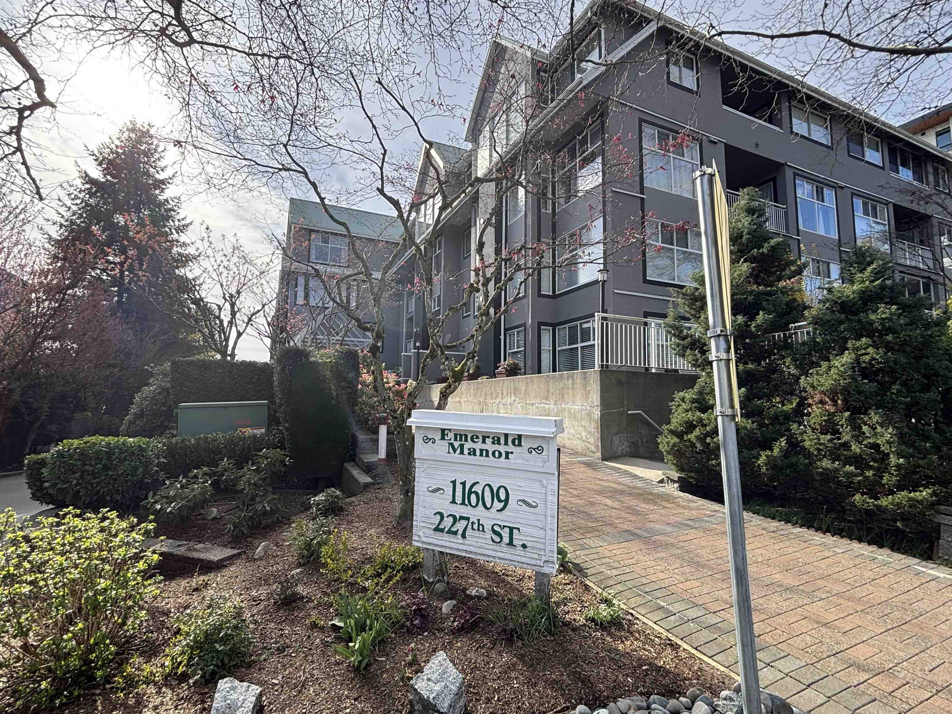 208 11609 227 STREET, R3131102, BC,