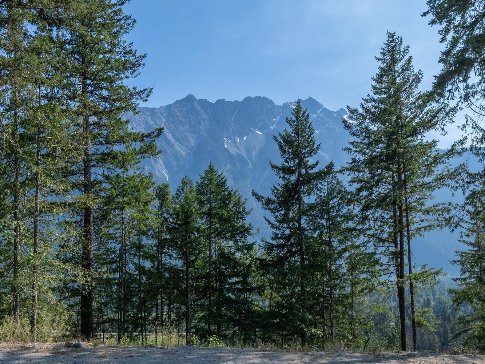 8206 MERLOT PEAK DRIVE, Pemberton BC V0N 2L3, R3132305, BC,