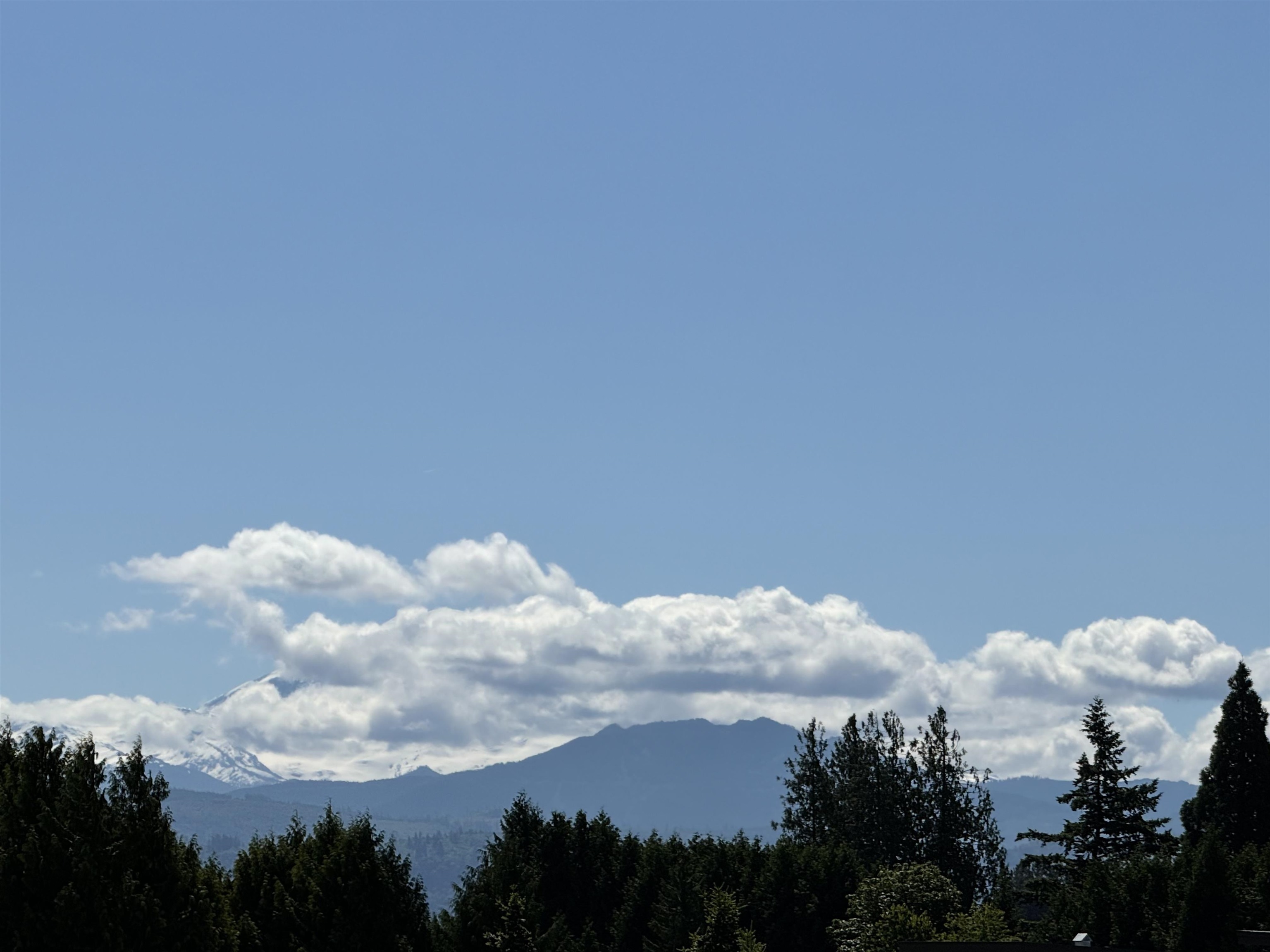 502 33540 MAYFAIR AVENUE, R3133334, BC,