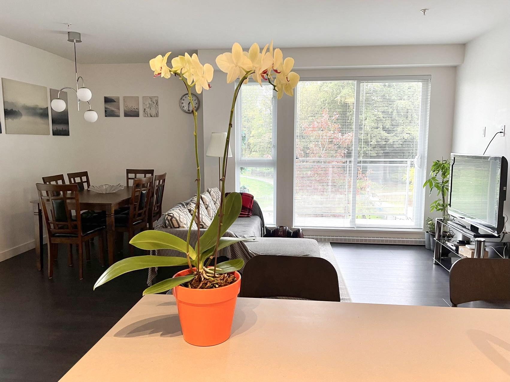 314 13963 105 BOULEVARD, R3135169, BC,