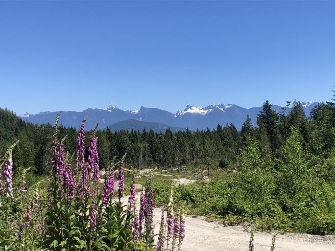 Lot D ELPHINSTONE CROSSING, Gibsons BC V0N 1V9, R3135340, BC,
