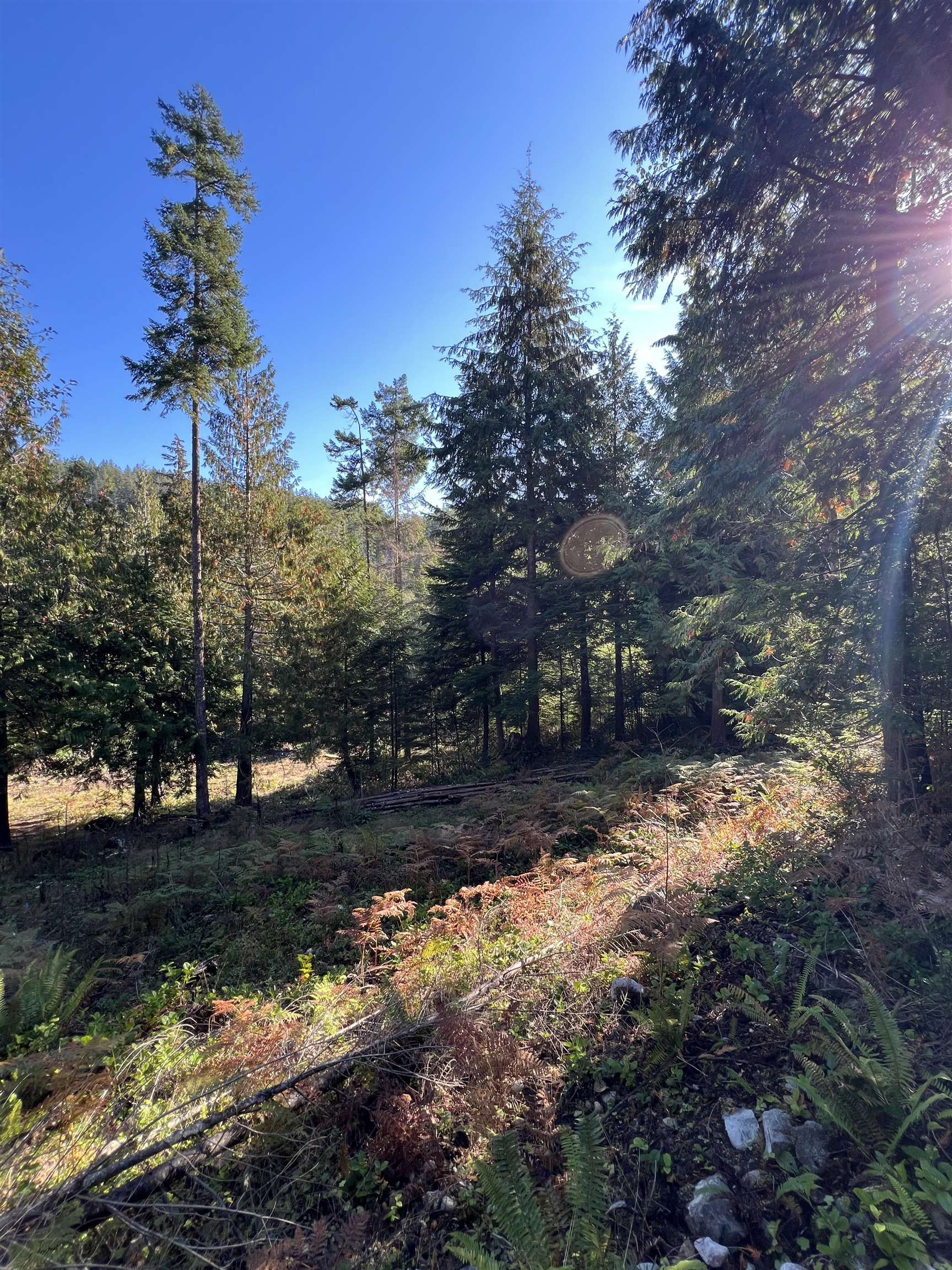 13623 LEE ROAD, Garden Bay BC V0N 1S1, R3135539, BC,