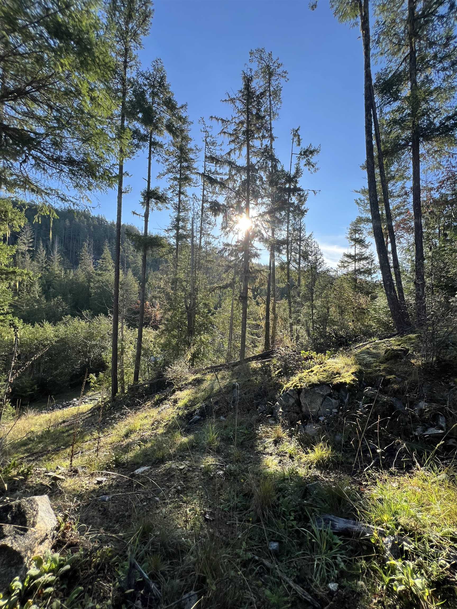 13830 SAKINAW DRIVE, Garden Bay BC V0N 1S1, R3135541, BC,