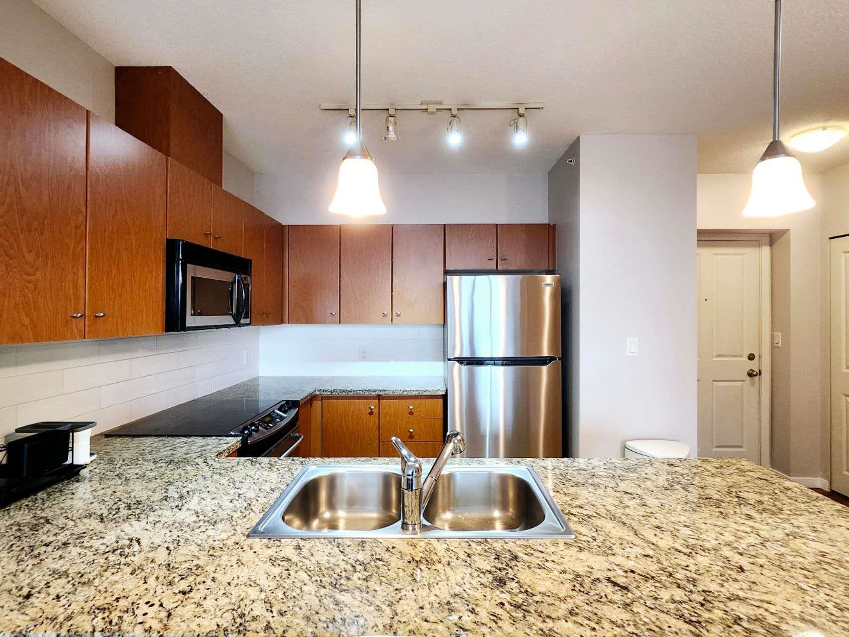 709 511 ROCHESTER AVENUE, R3138165, BC,