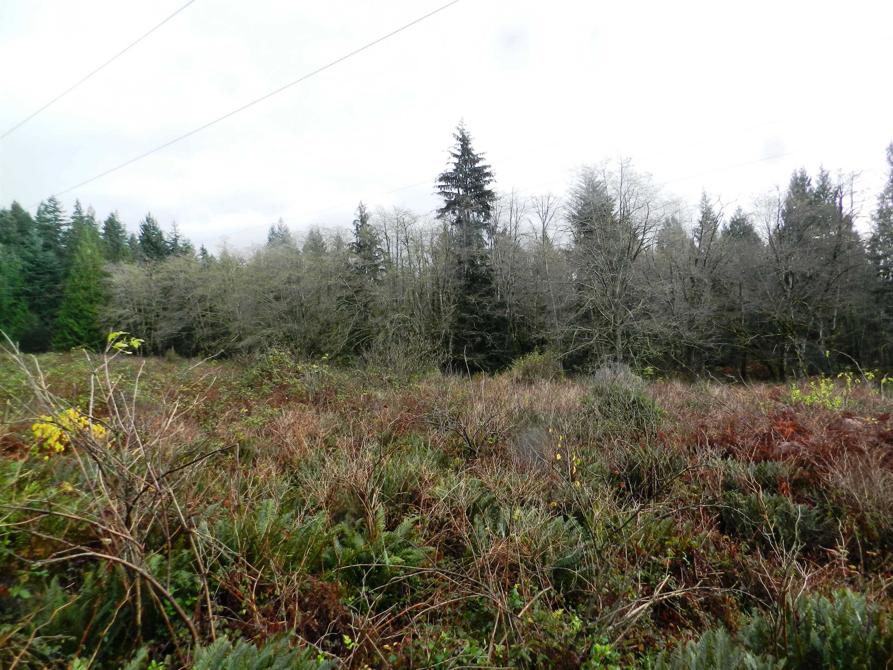Block 1 HAUKA ROAD, Langdale BC V0N 1V6, R3139360, BC,