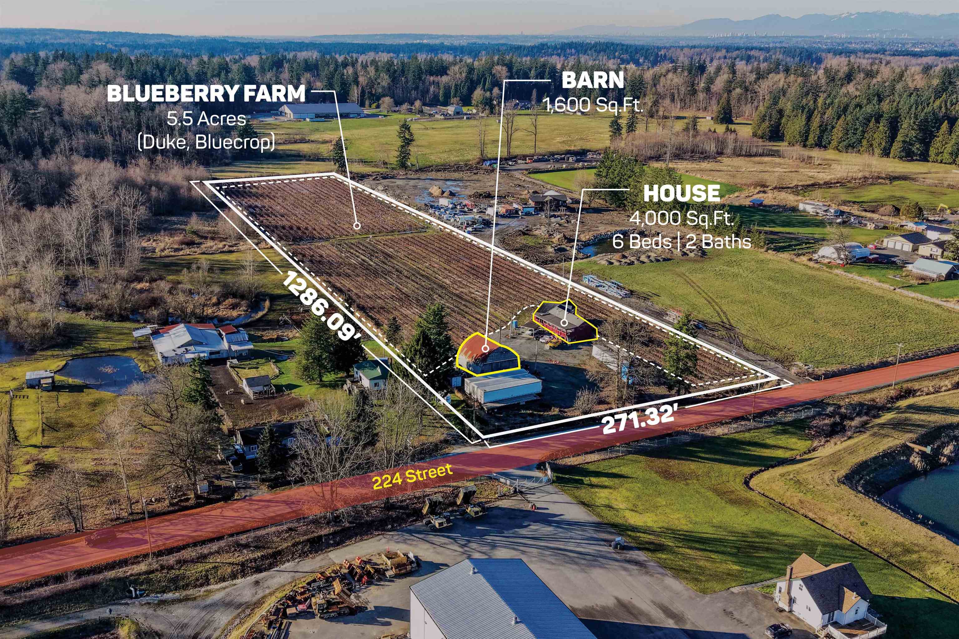 2157 224 STREET, Langley BC V2Z 2Z2, R3140912, BC,