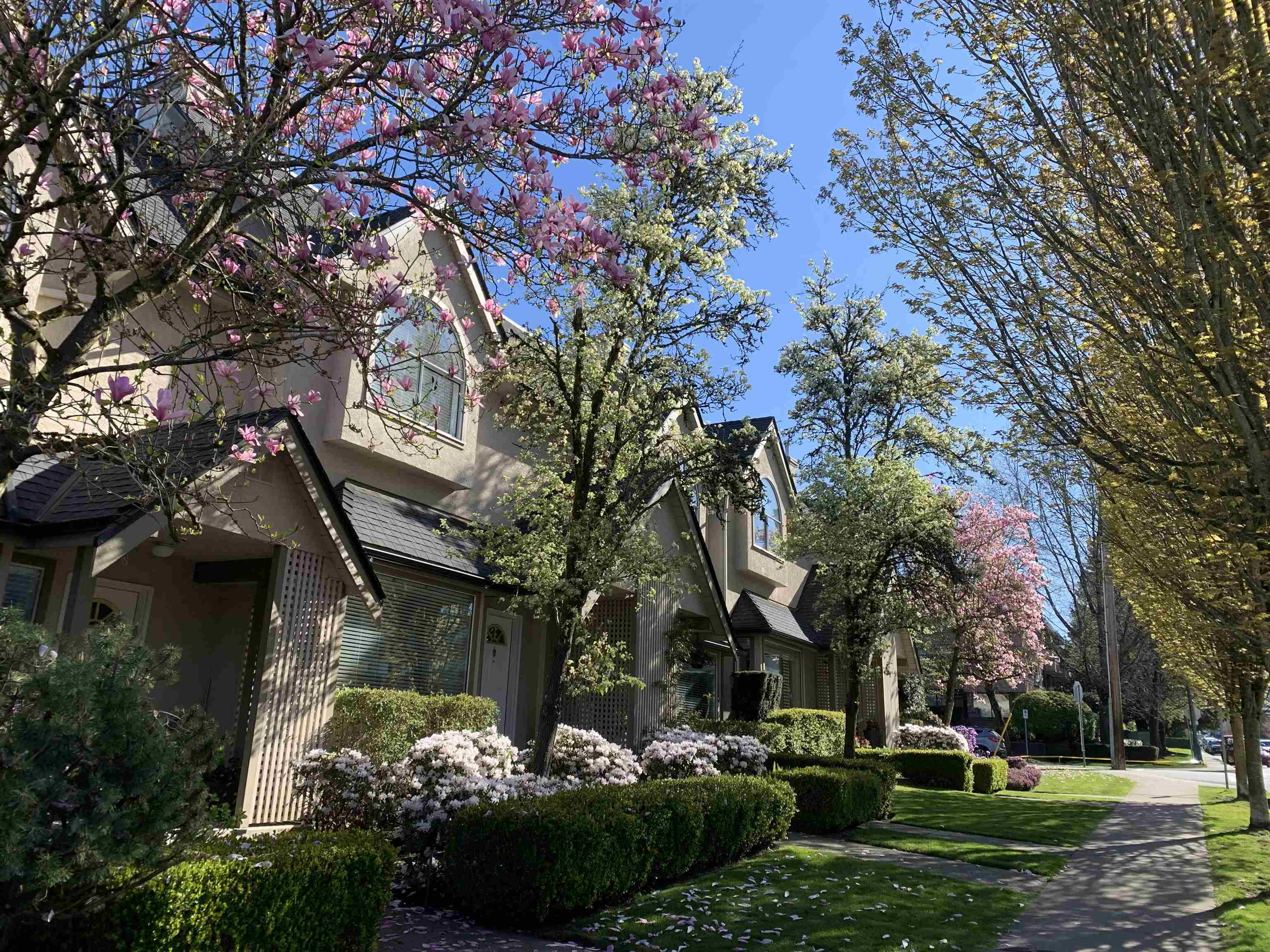 4 1701 CHESTERFIELD AVENUE, R3144001, BC,