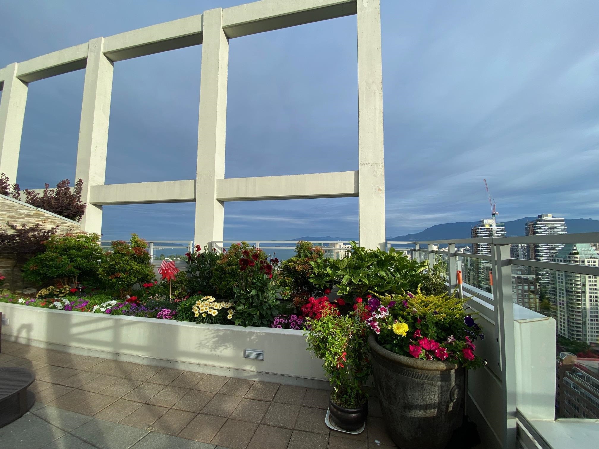 2901 1455 HOWE STREET, R3144529, BC,
