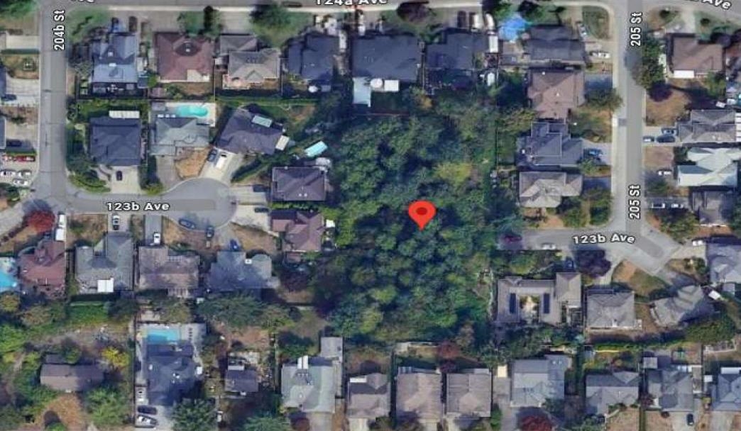 20506 123B AVENUE, Maple Ridge BC V2X 0L9, R3145373, BC,