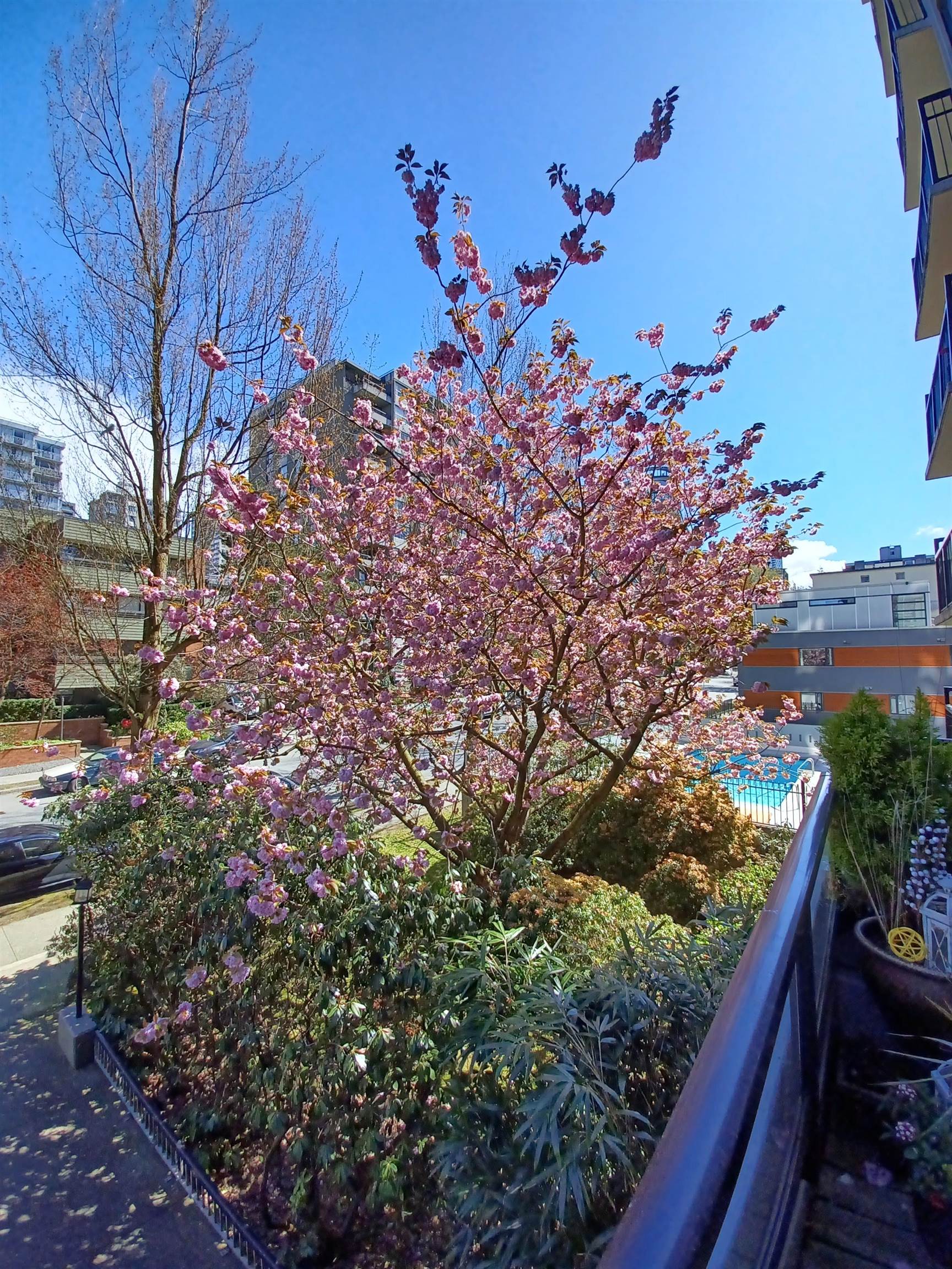 203 1330 HARWOOD STREET, R3146877, BC,